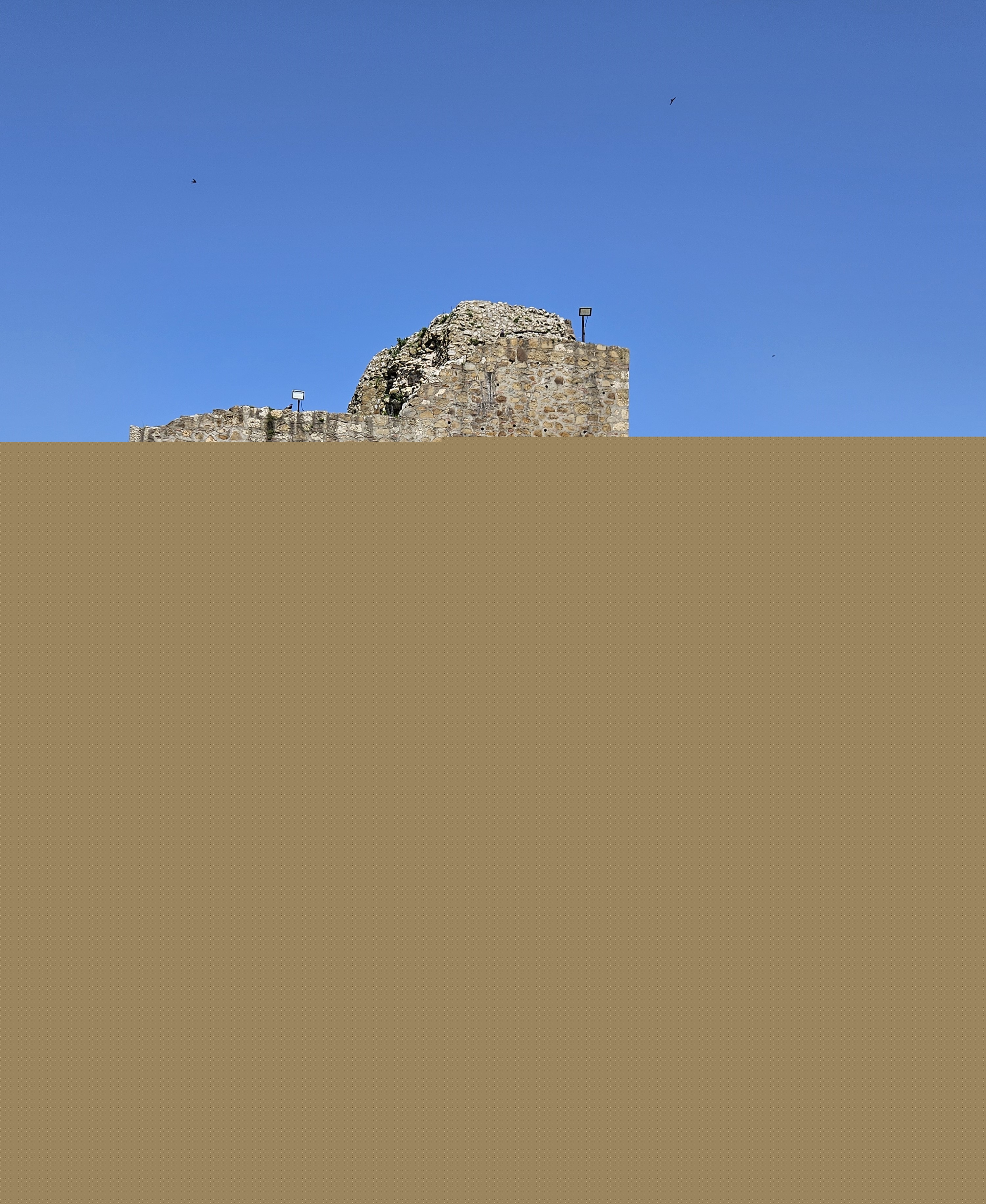 20250421_125207.jpg
