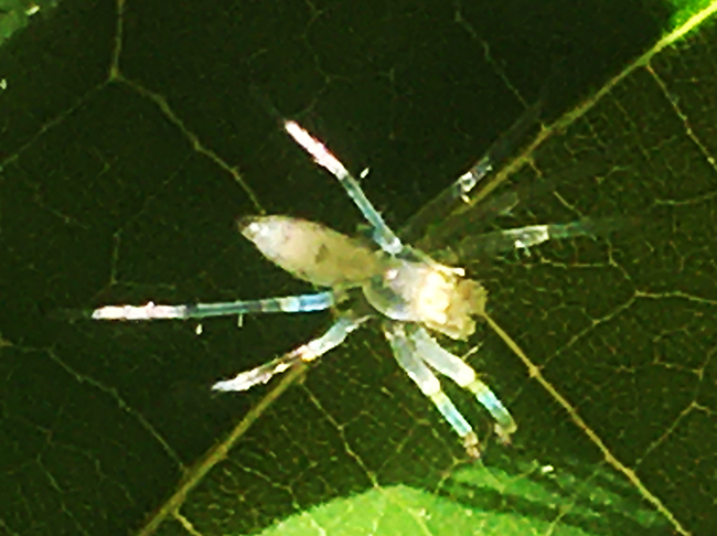 IMG_8878s.png
