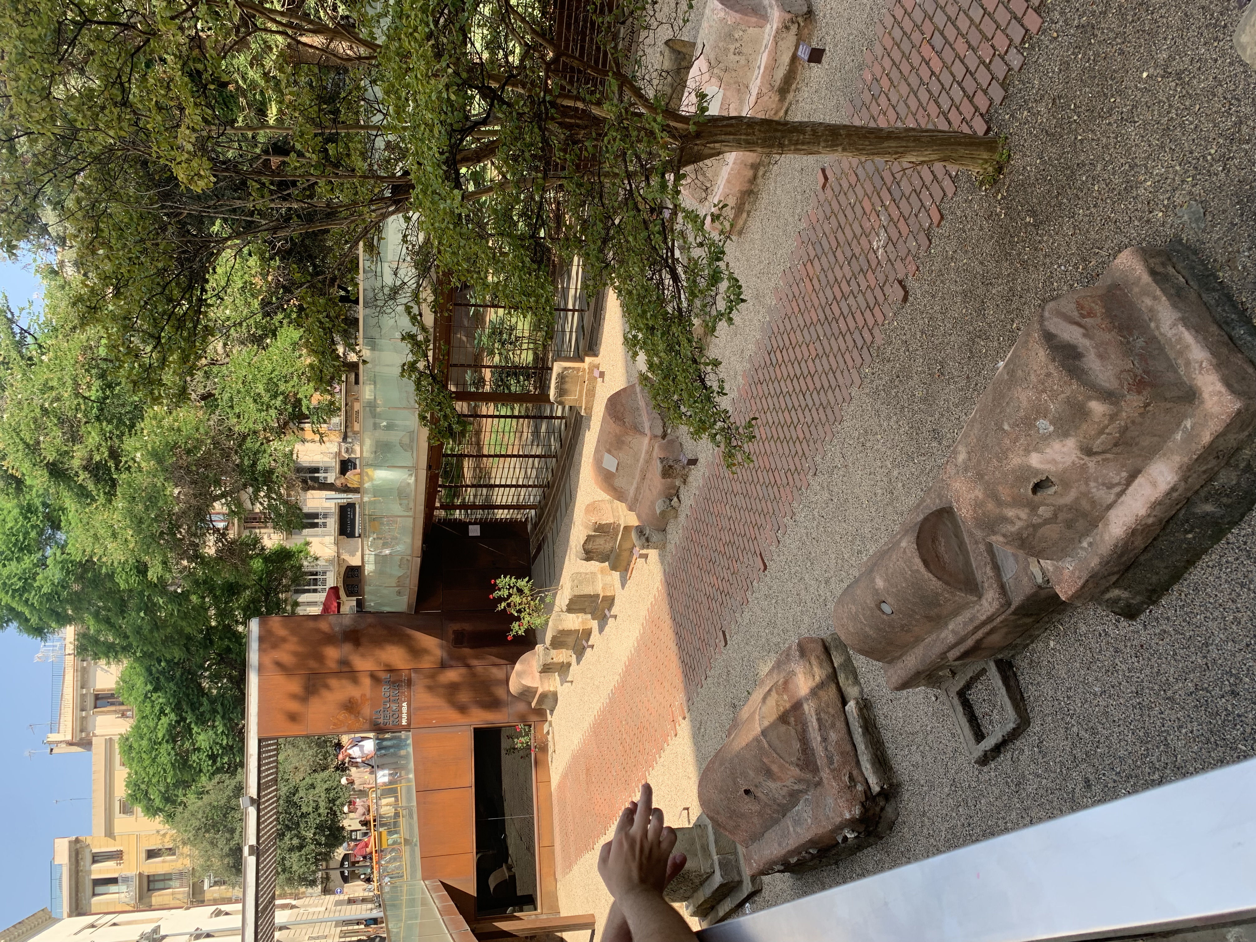 IMG_1915.jpeg