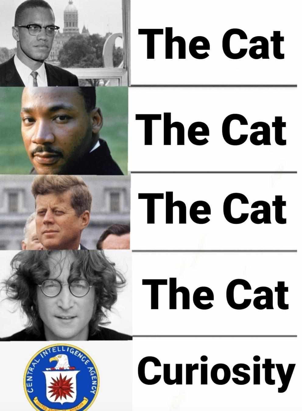 original-8F435776-847D-4872-8E42-B7757B586C66.jpeg