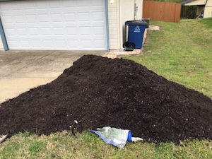 garden.JPG