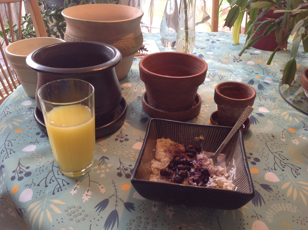 breakfast with flower pots.JPG