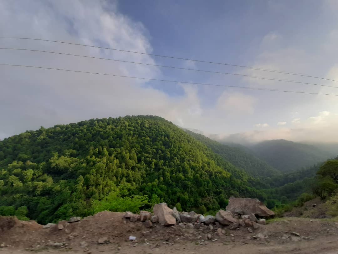 talesh76 (56).jpeg