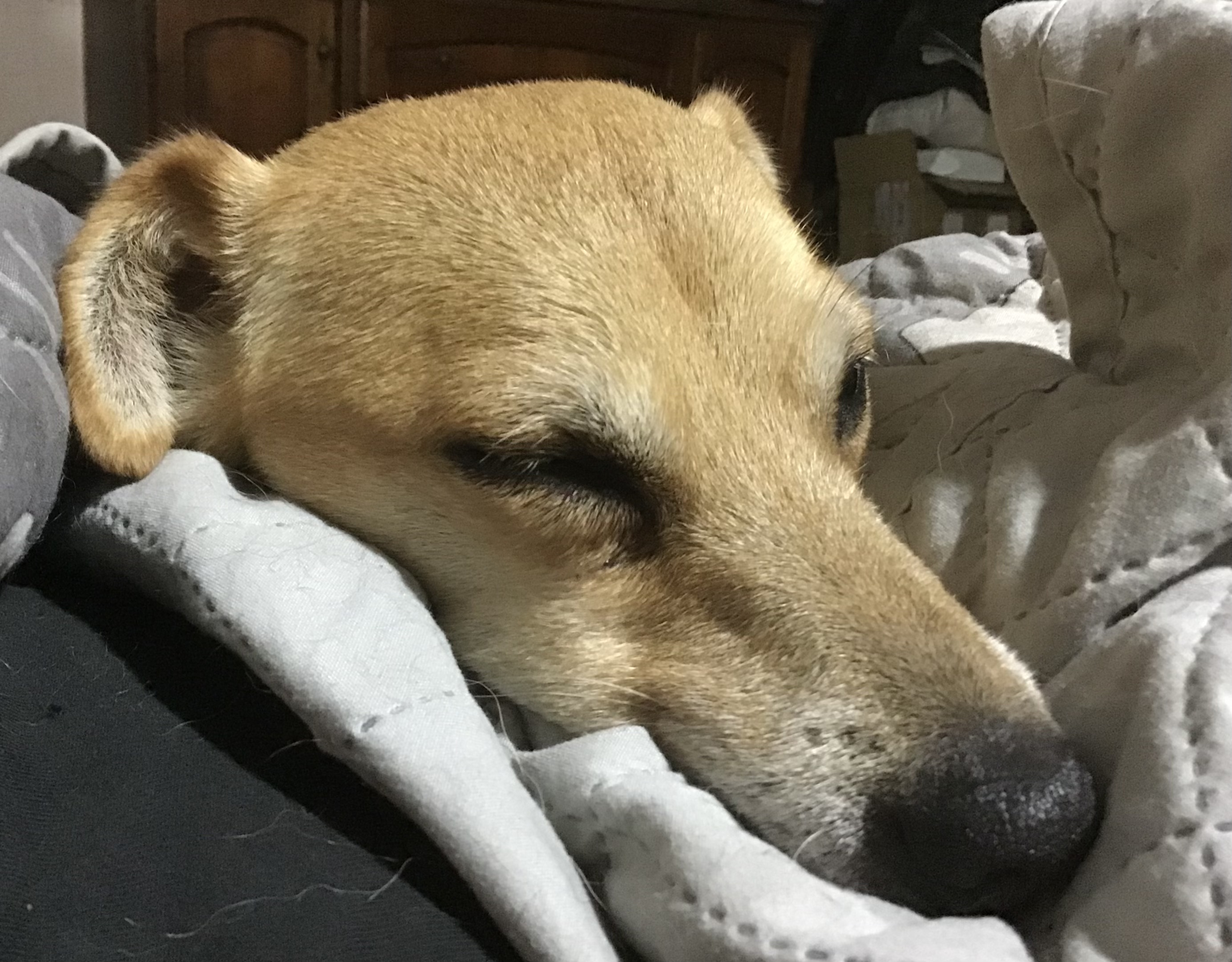 IMG_0596.jpeg