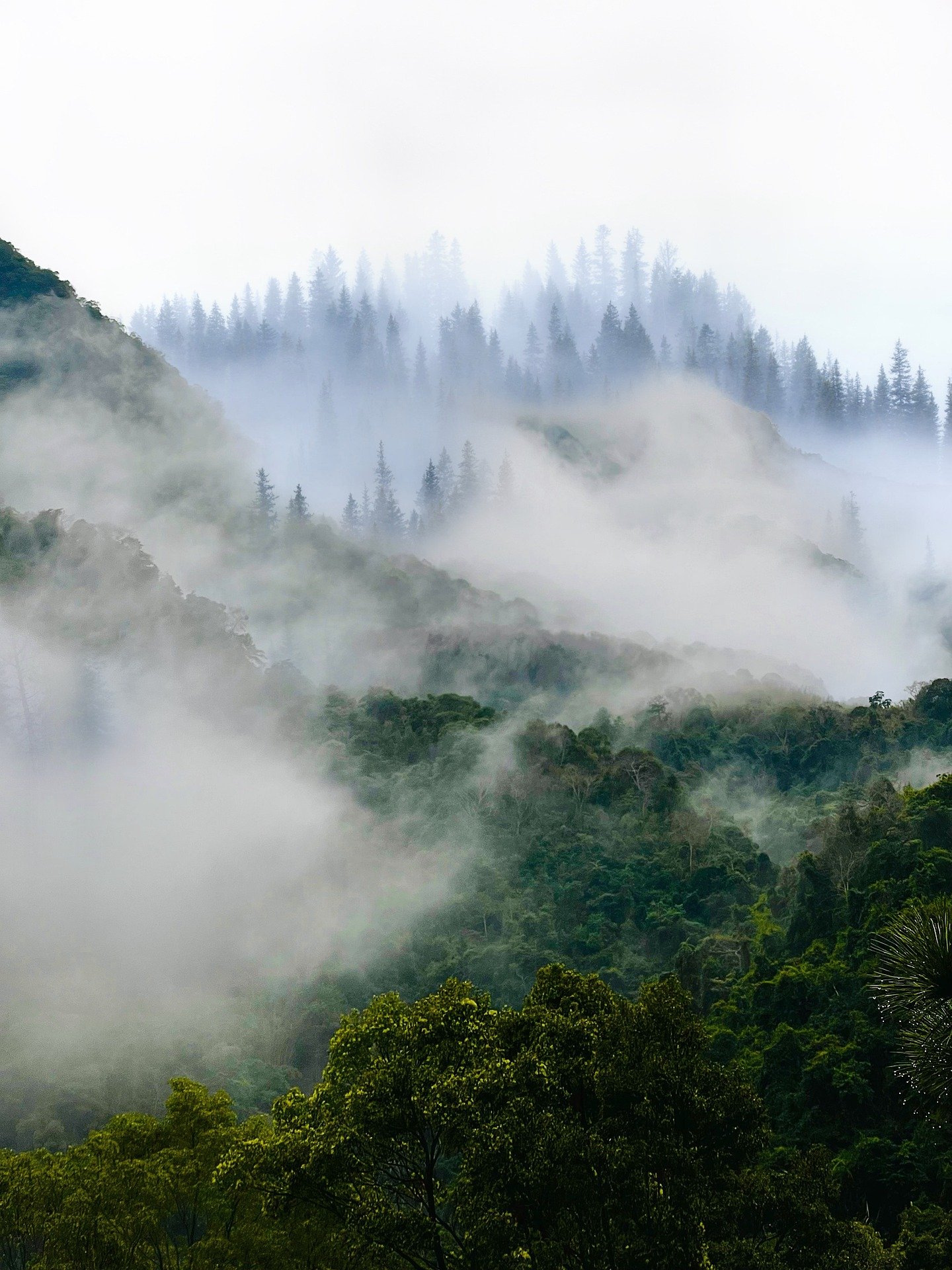 mountains-8292685_1920.jpg