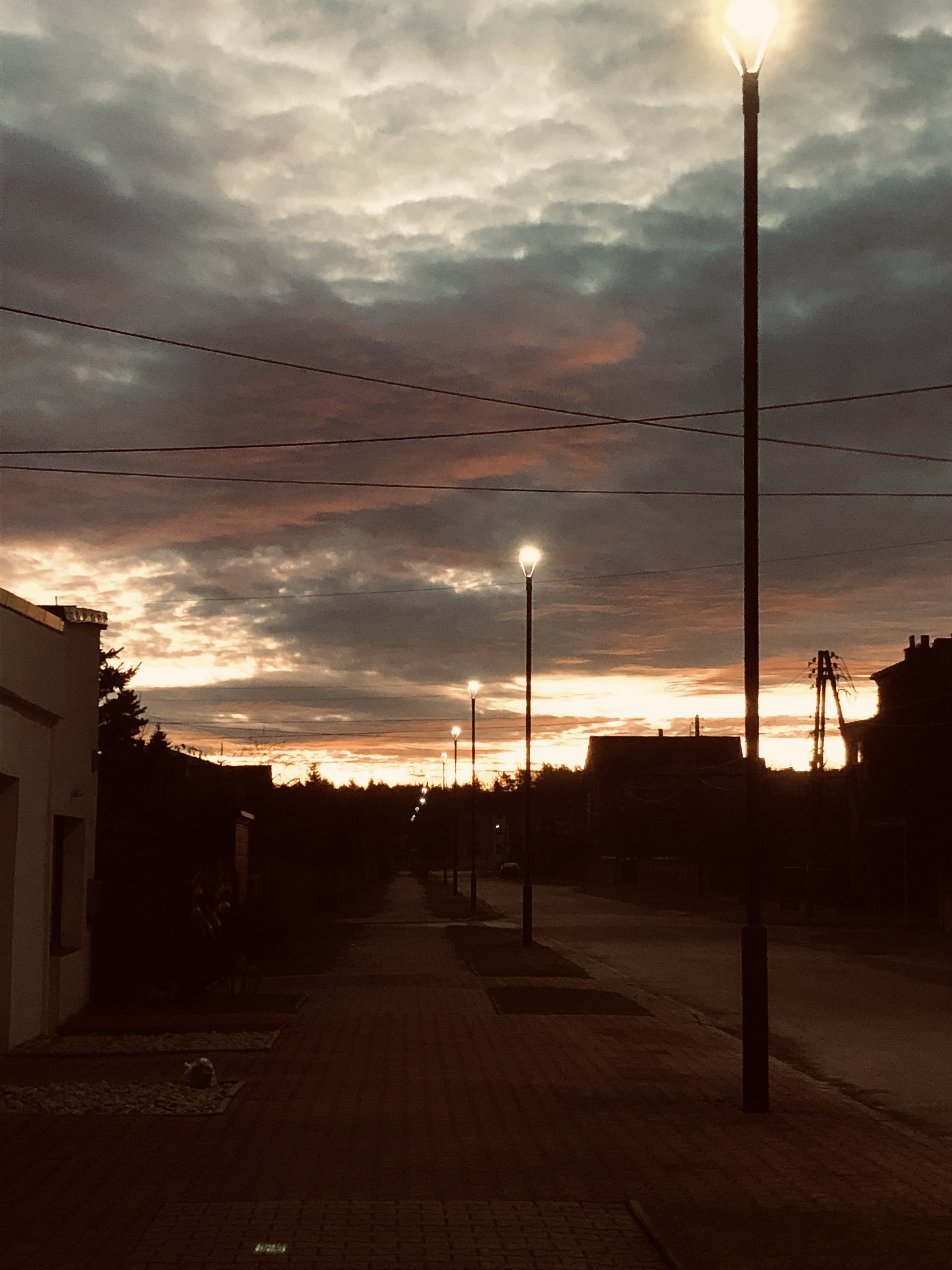 IMG_3794.jpeg