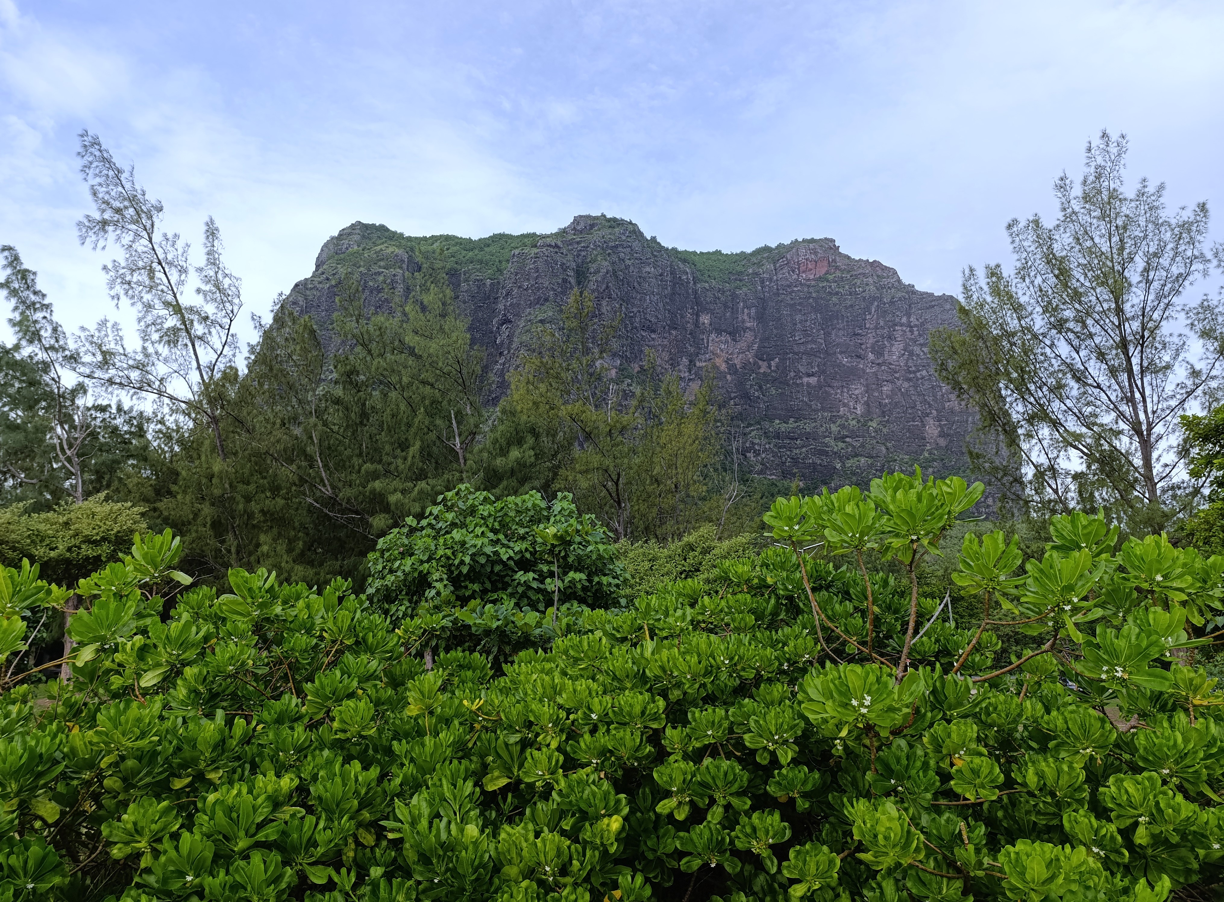 IMG_20250408_155034.jpg