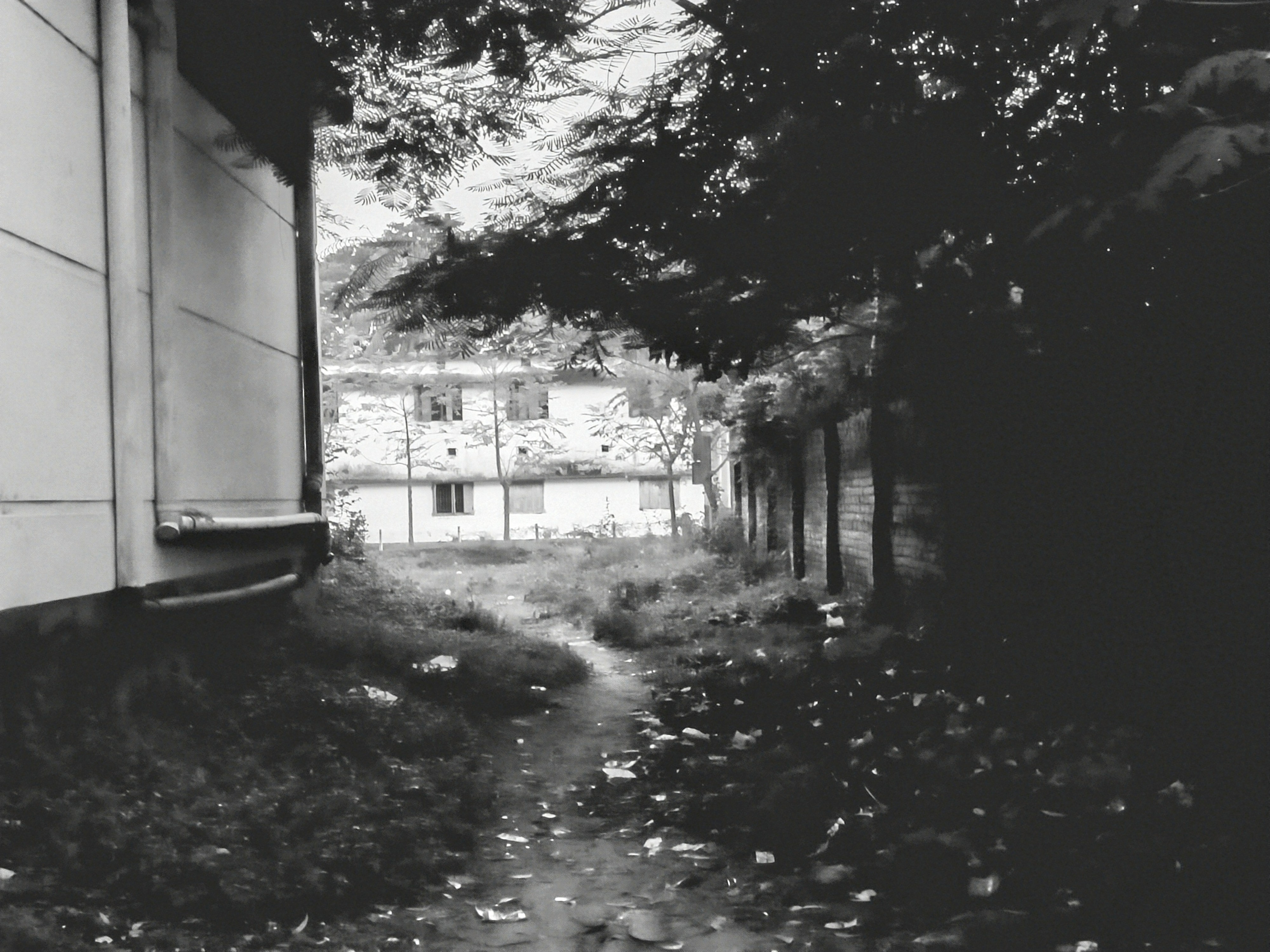 20250806_185041~2.jpg