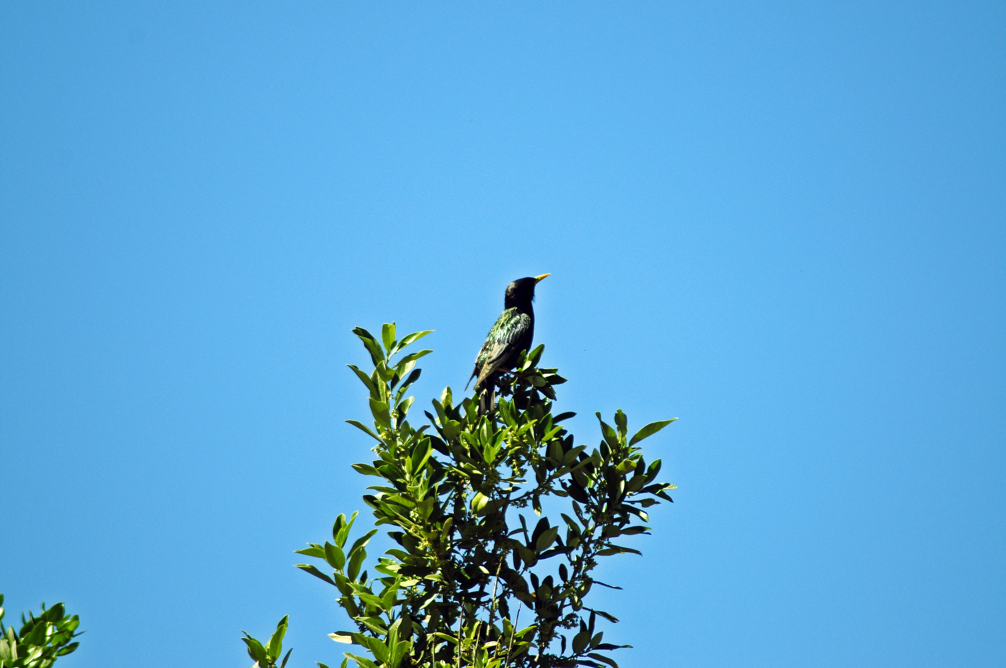 _DSC5158.JPG