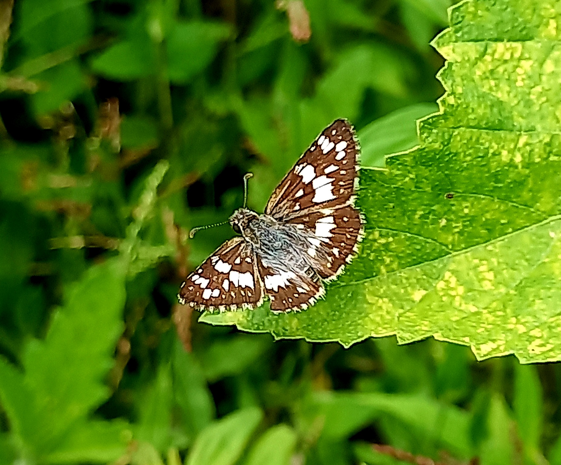 20220906_112004.jpg