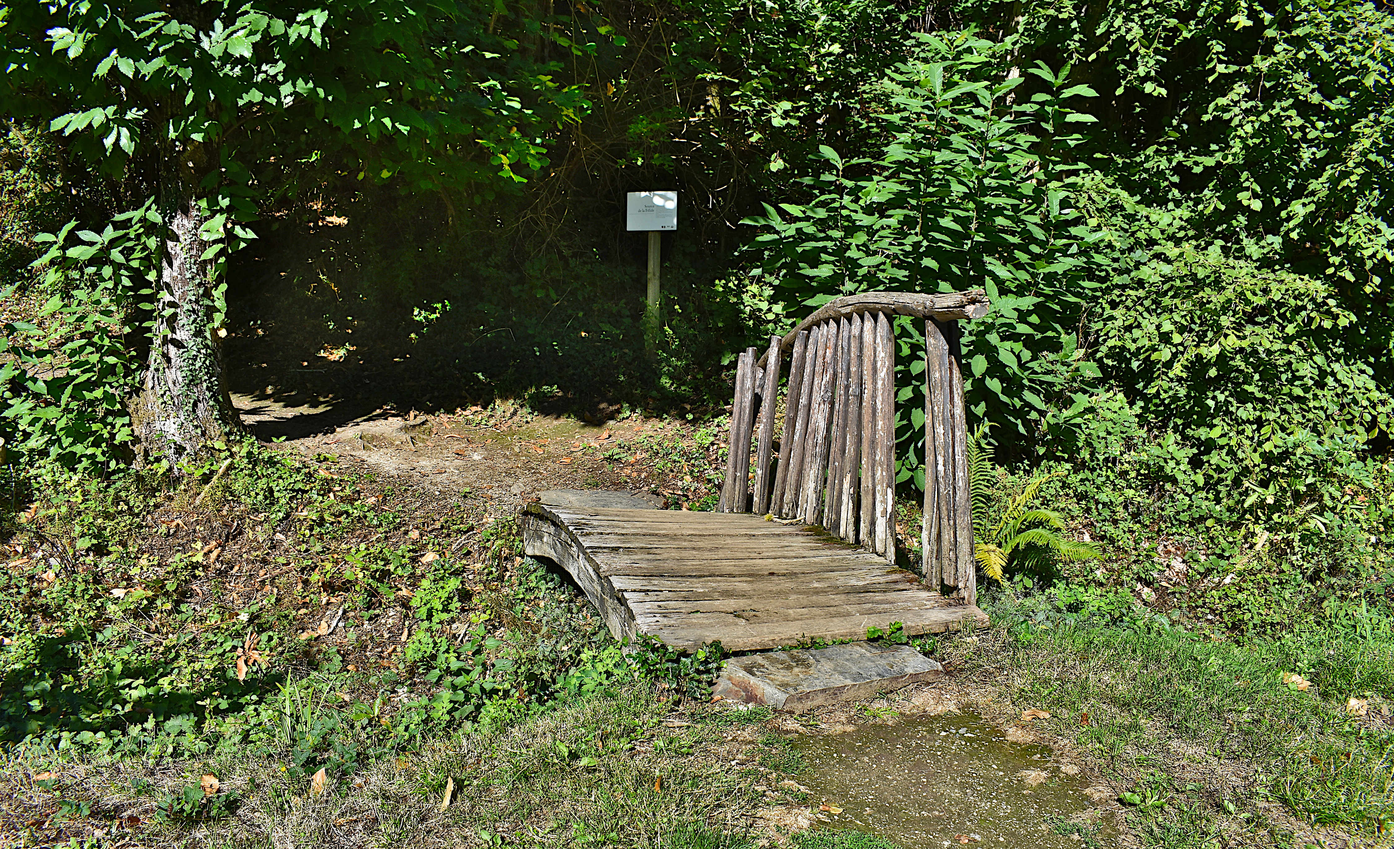 DSC_0238.JPG