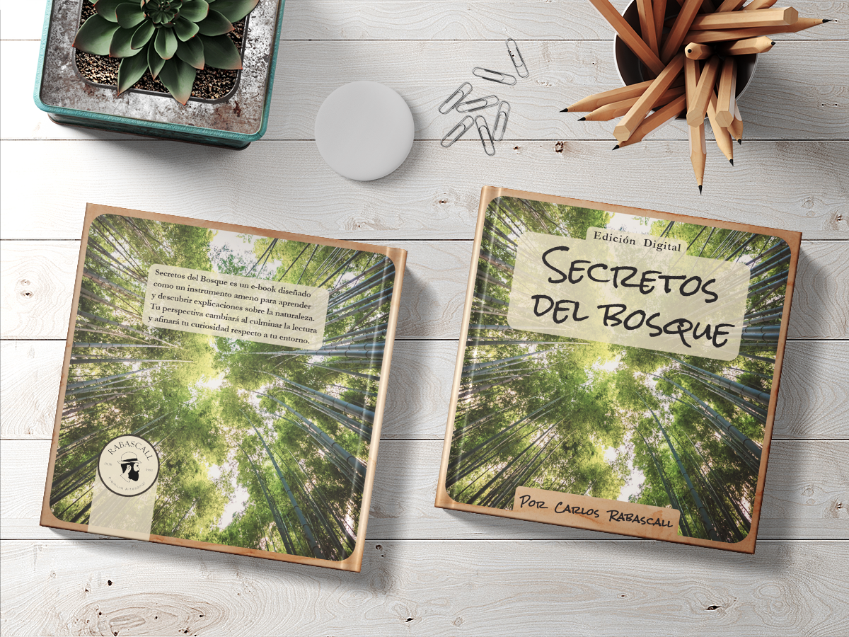 Mockup_01_Secretos del bosque.png