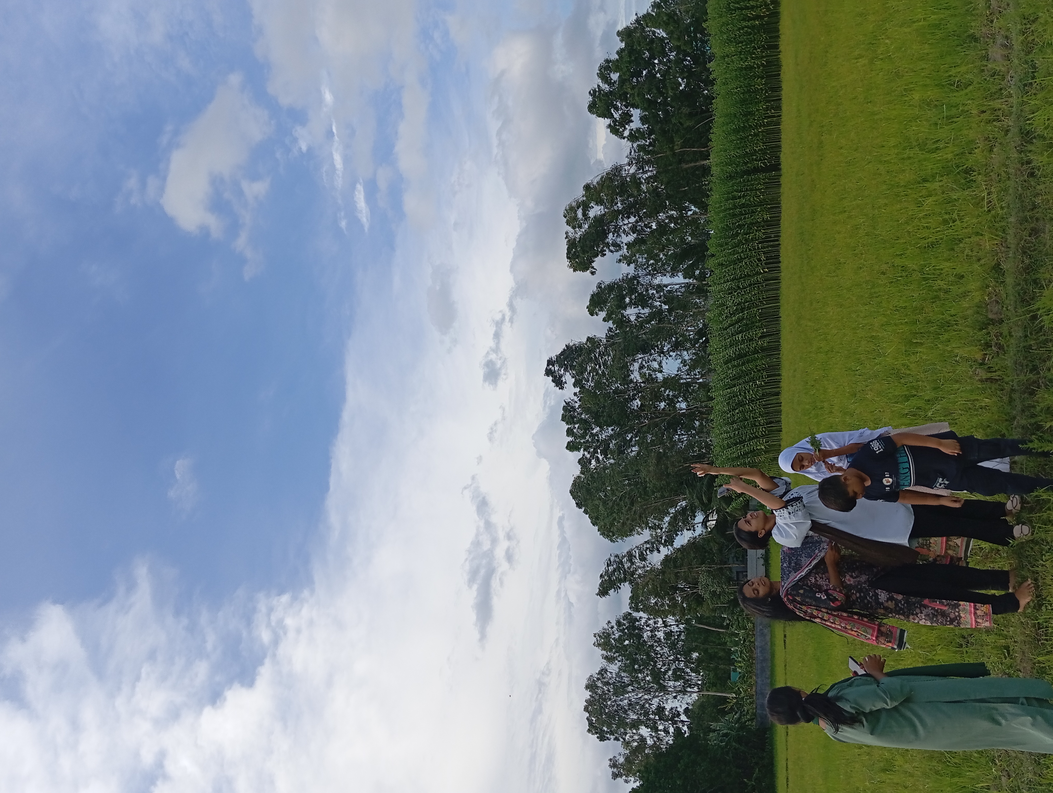 IMG_20250725_164006.jpg