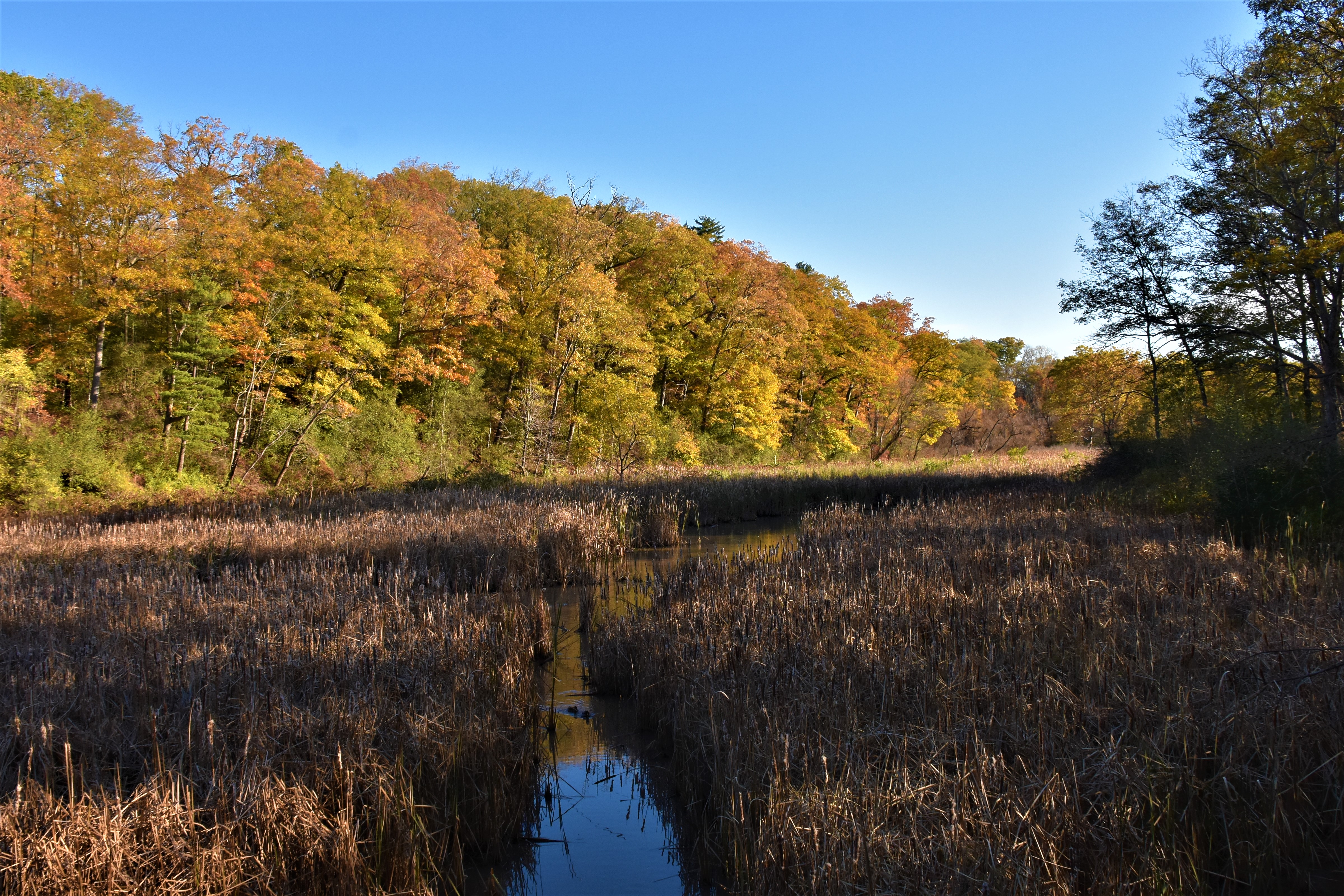 DSC_6013.JPG