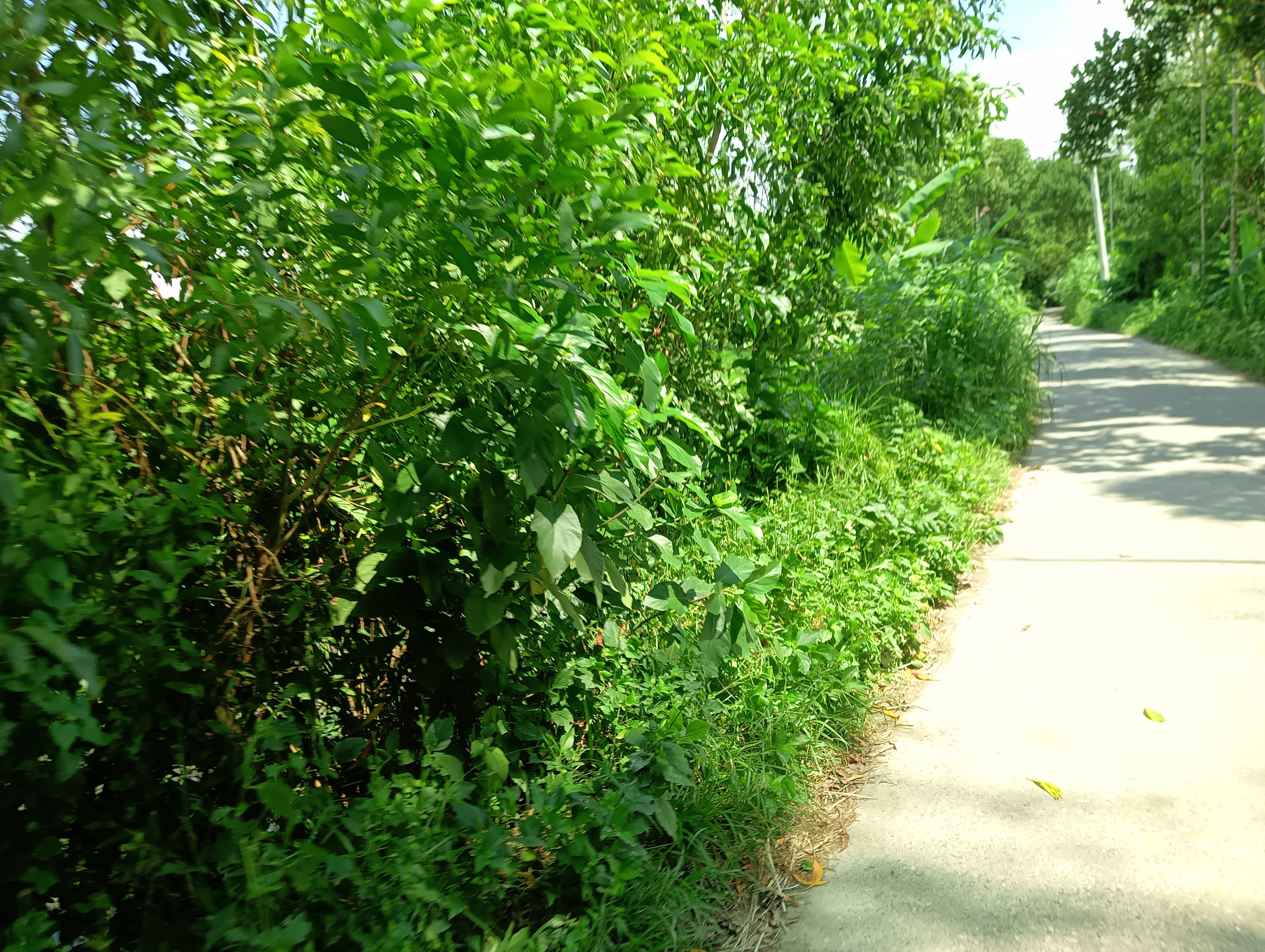 IMG20250822135415.jpg