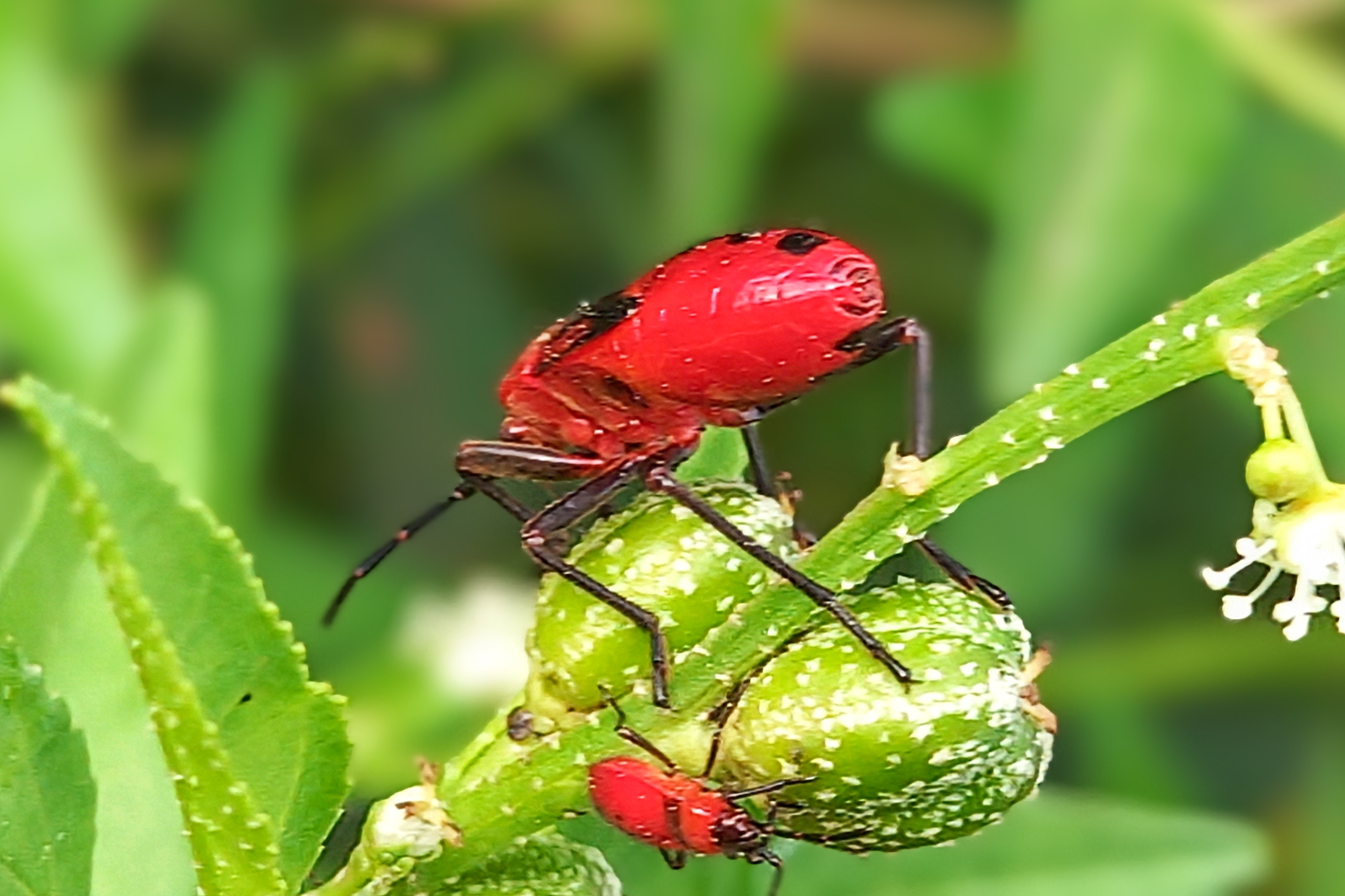 20250725_071444~2.jpg