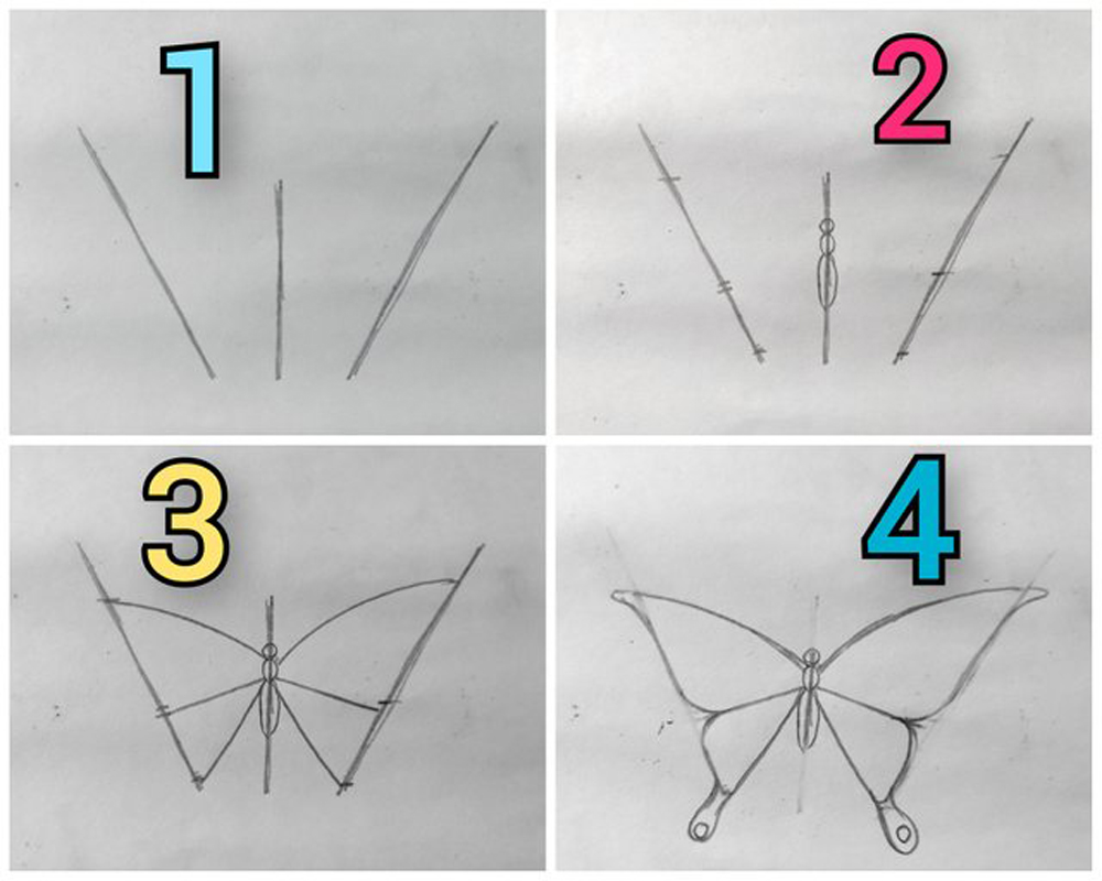 Easy Draw Butterfly Step Step For Beginners | by Maheen Naveed | Medium