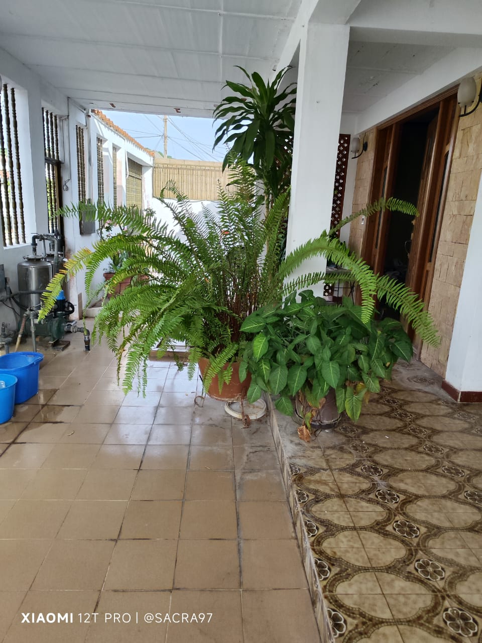 Sin título-3.jpg