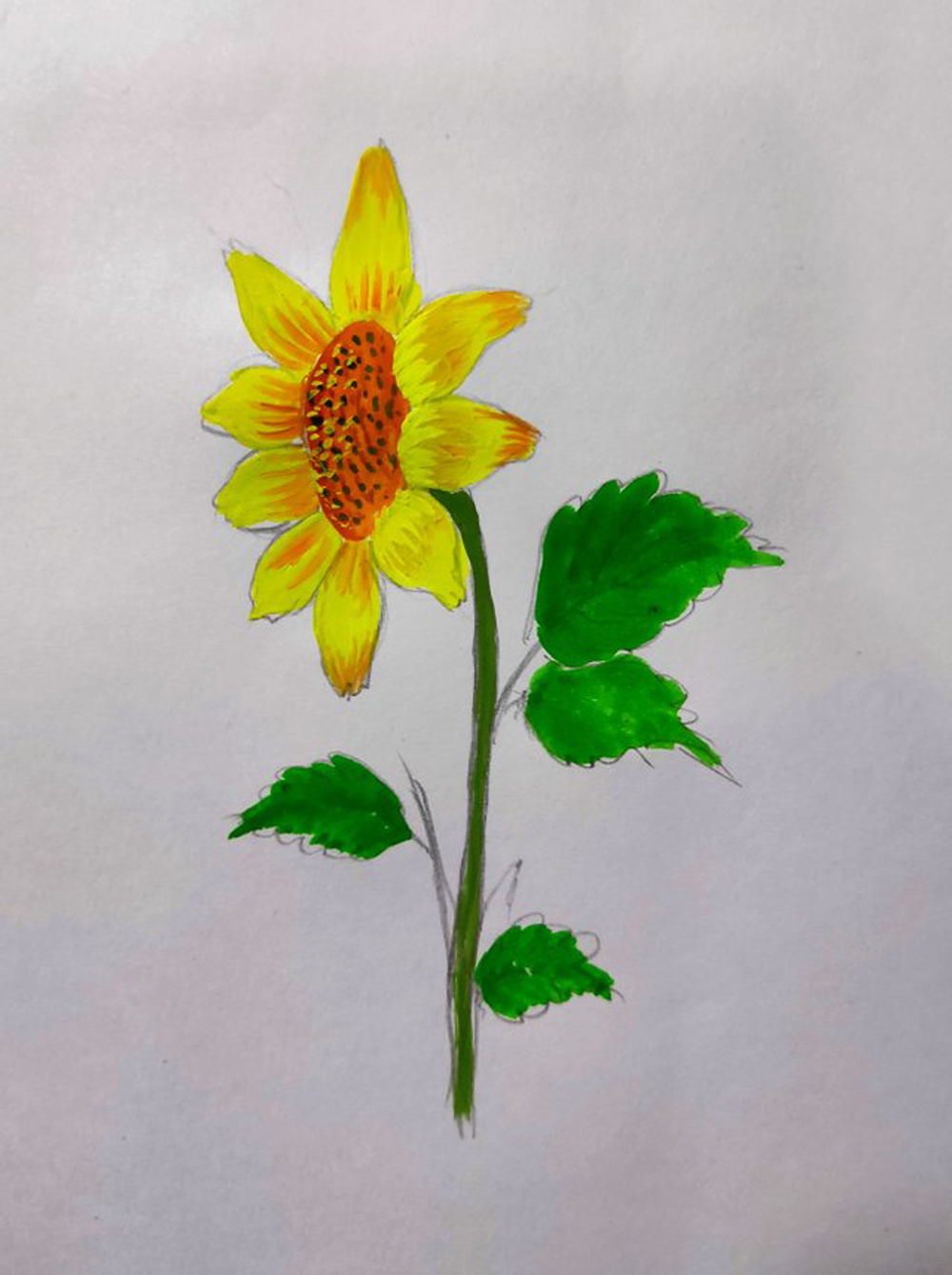 How to draw a beautiful sunflower painting by acrylic colour - Proof of  Brain