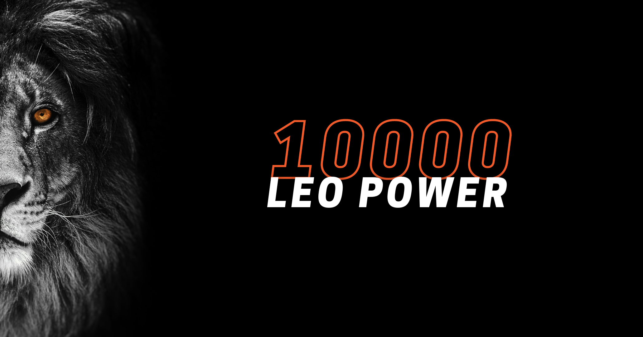 10 LEO Power.png