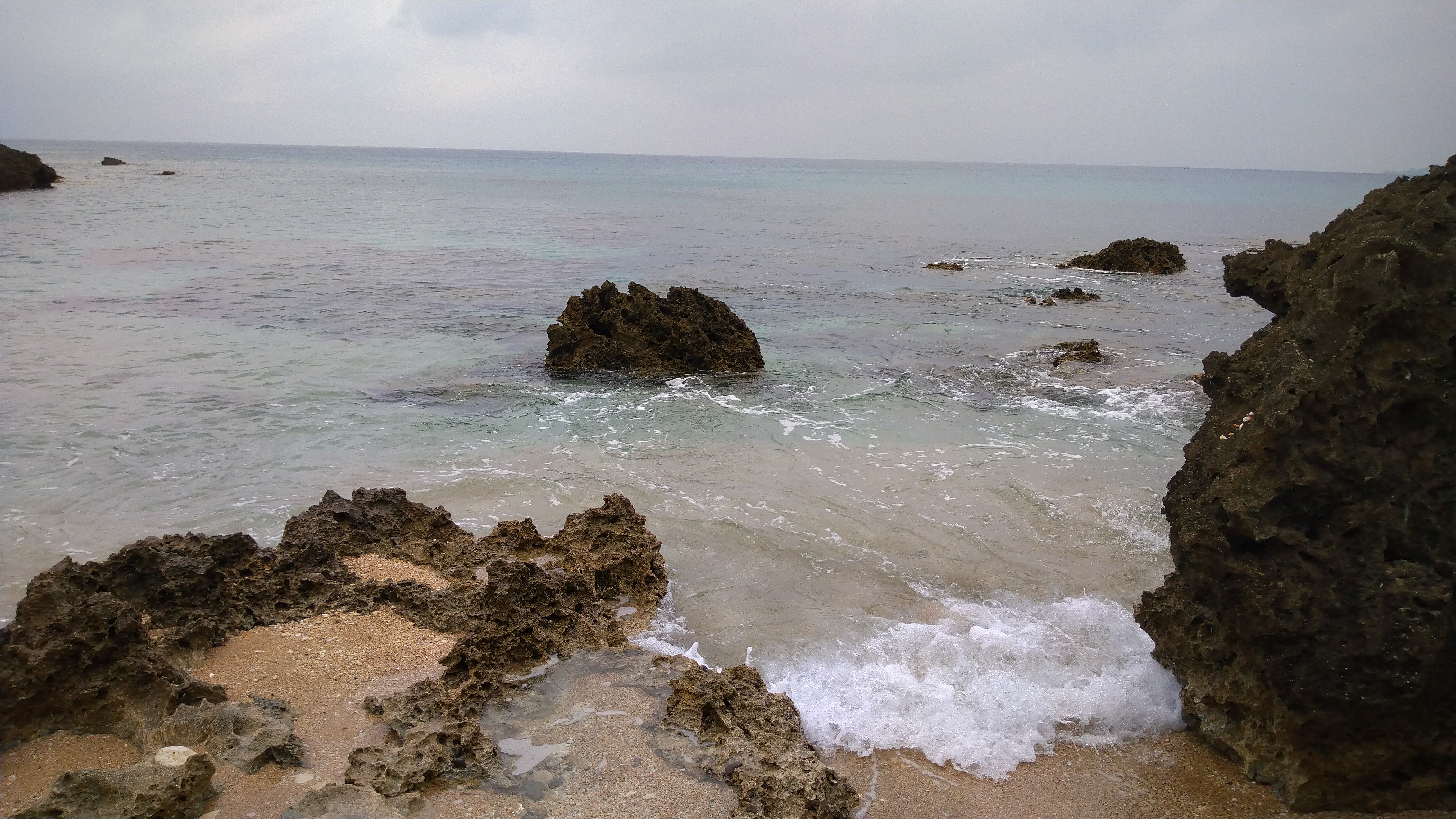 DSC_8112.JPG