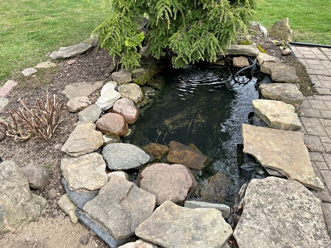 gardening-pond.jpg