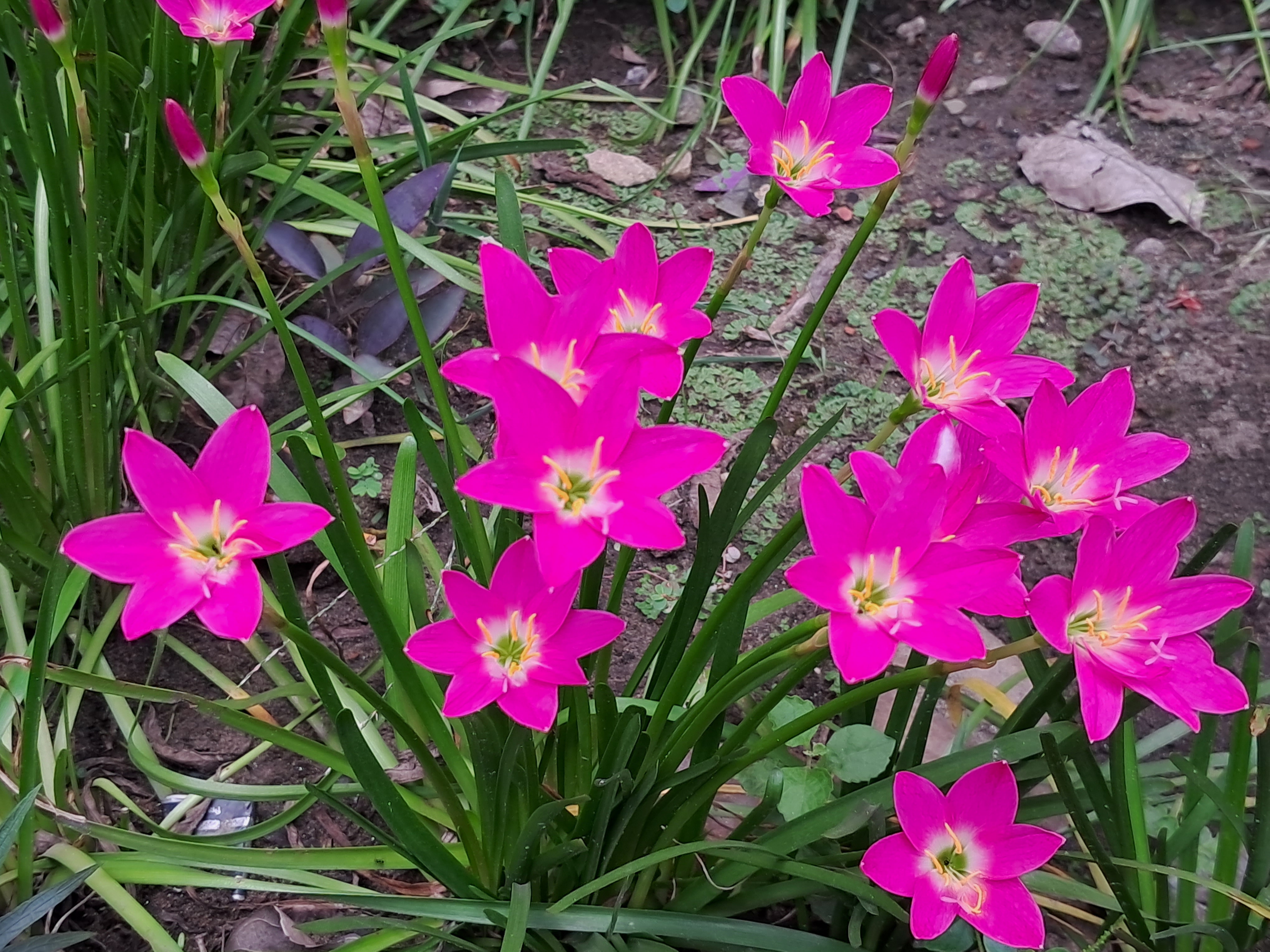 20220908_113808.jpg