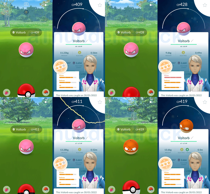 All Special Research tasks for Voltorb from the Hisui Region in