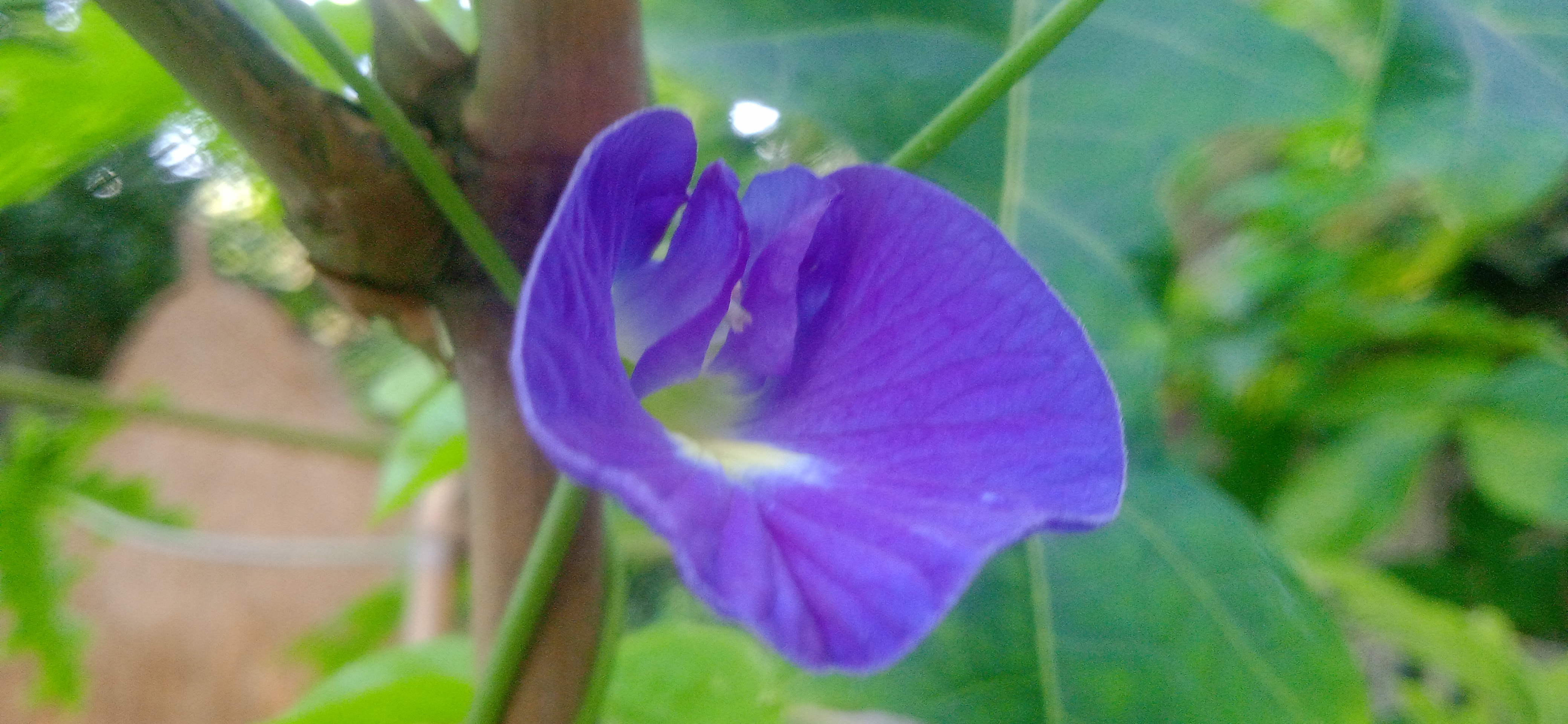 IMG_20250627_062719.jpg