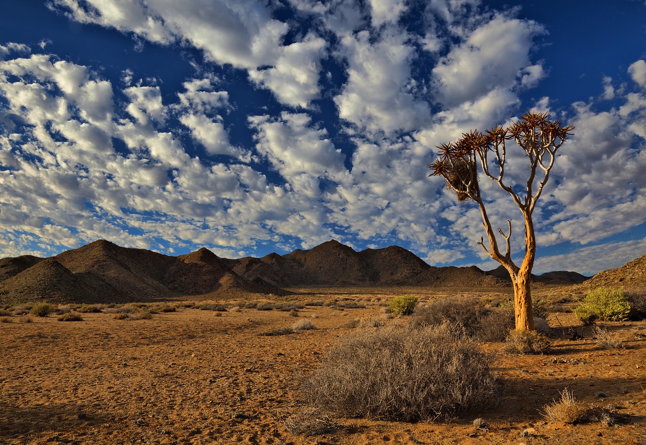 richtersveld-758235_1280.jpg