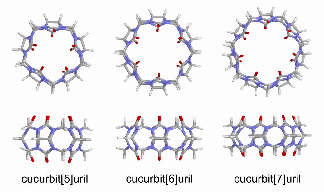 Models_of_cucurbiturils.jpg