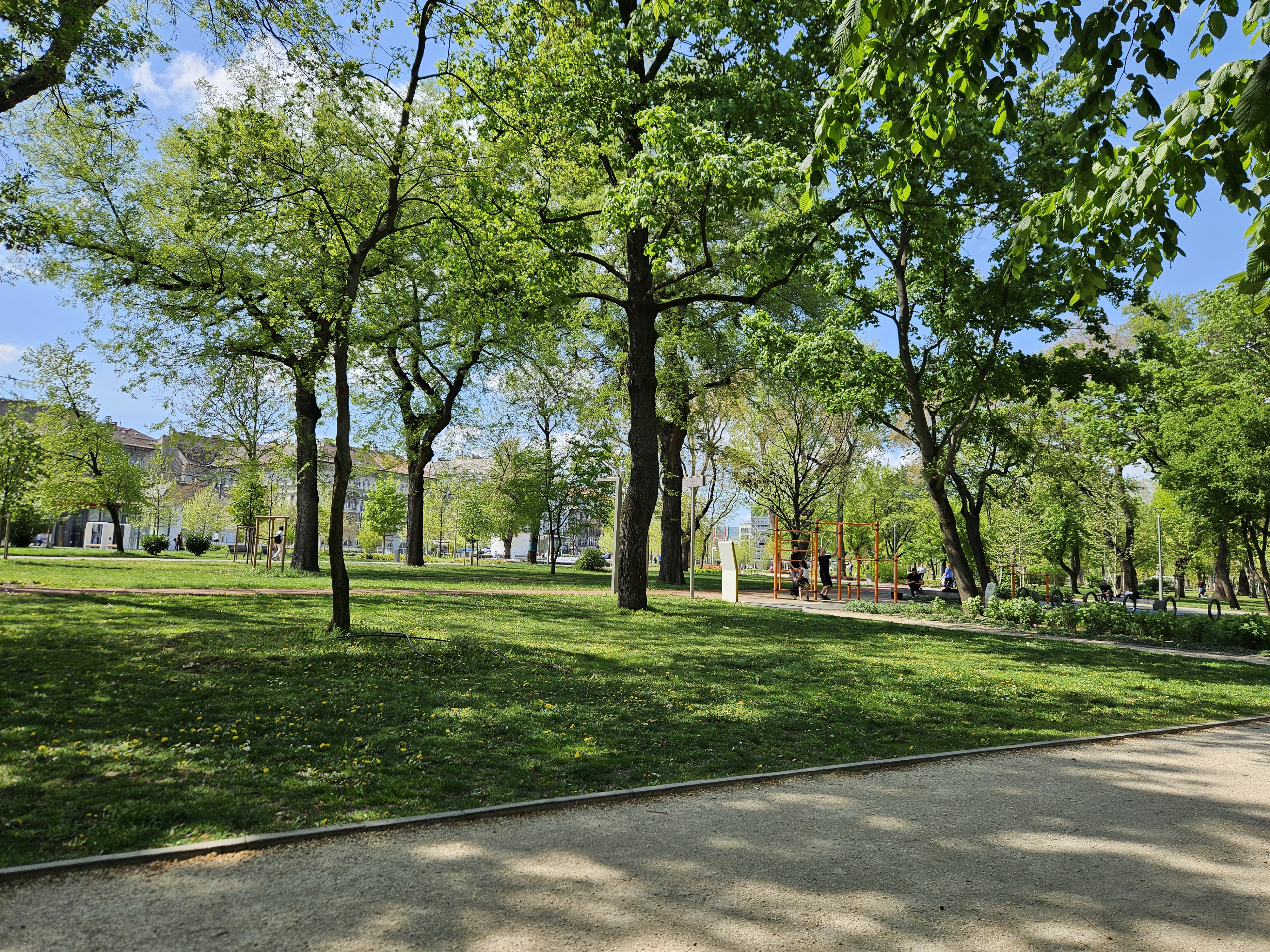 20250420_141449.jpg