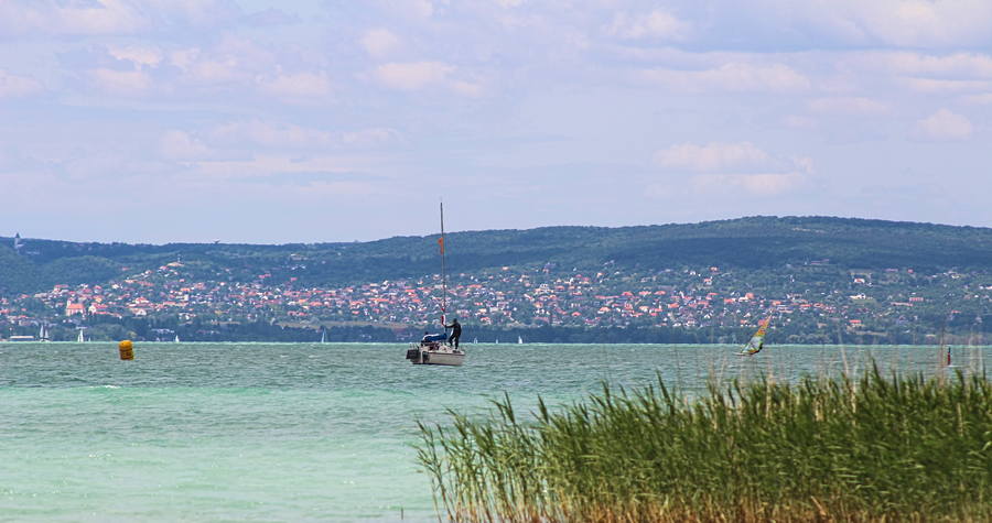 IMG_7004.jpg