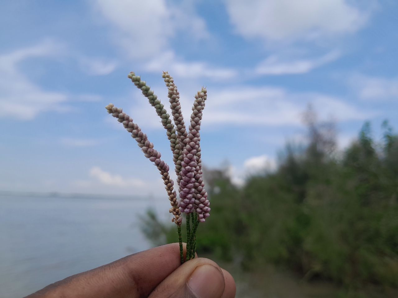 IMG_20250816_213303_500.jpg