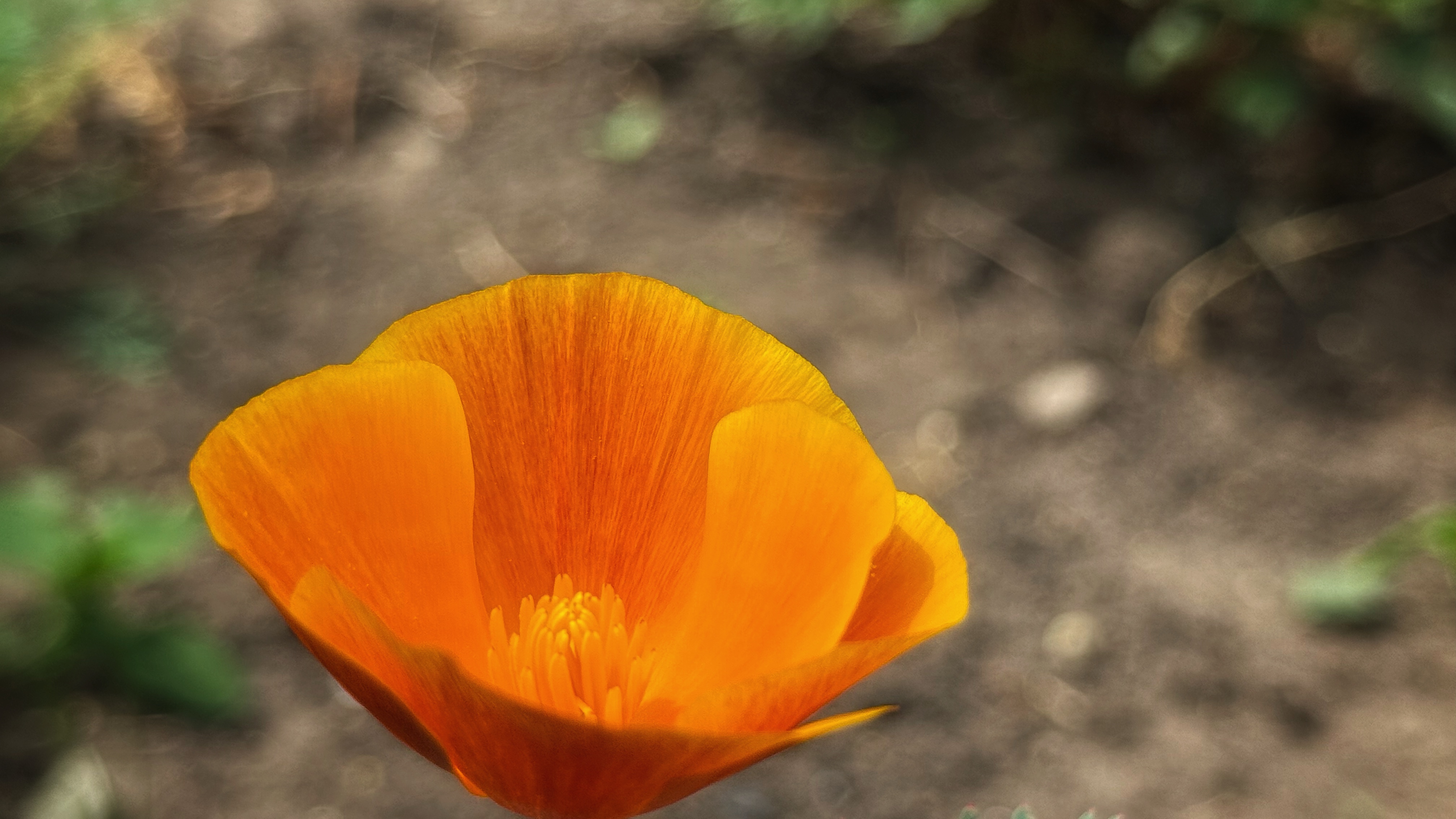 IMG_3282.jpeg