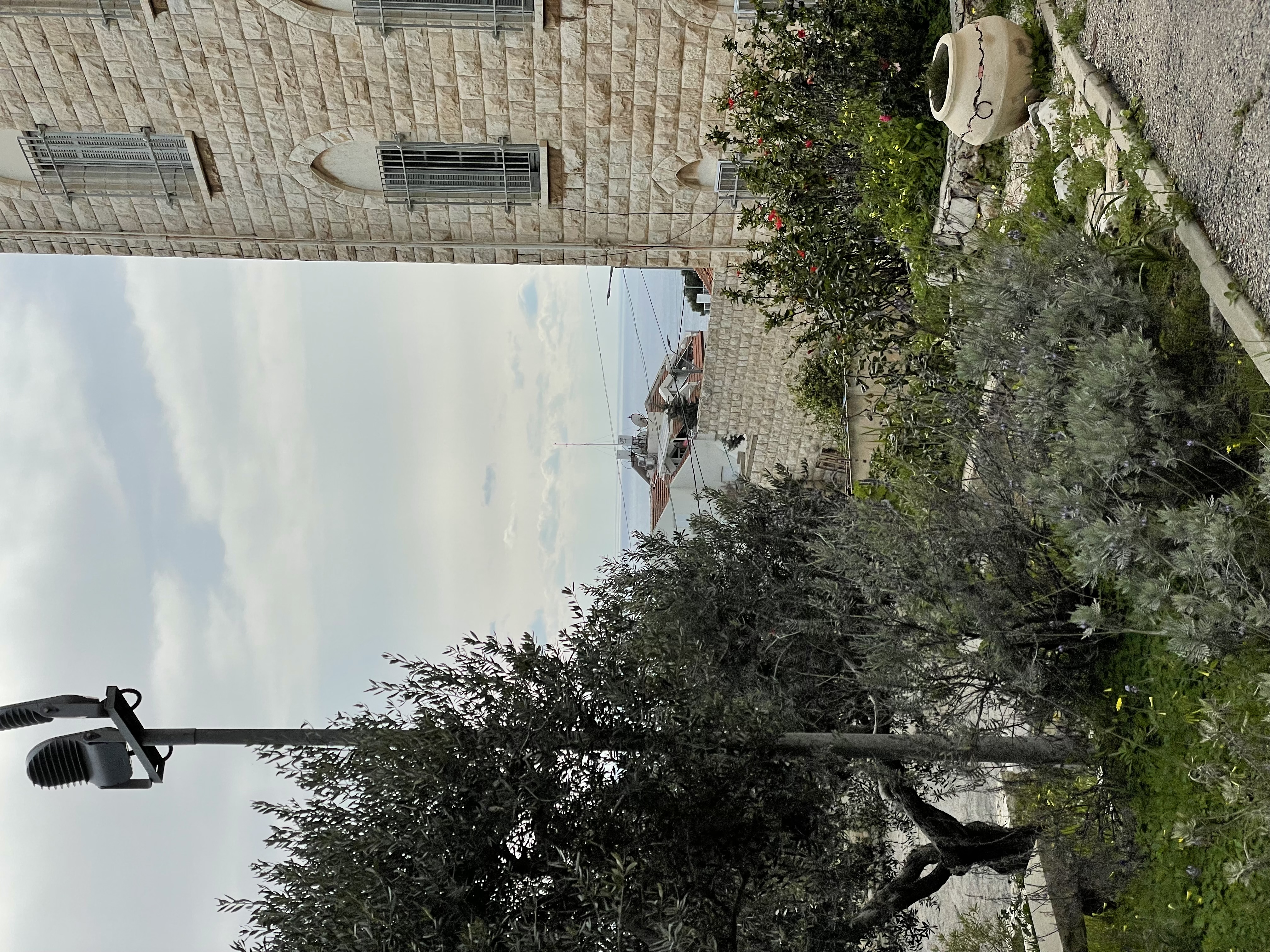 IMG-4234.jpg