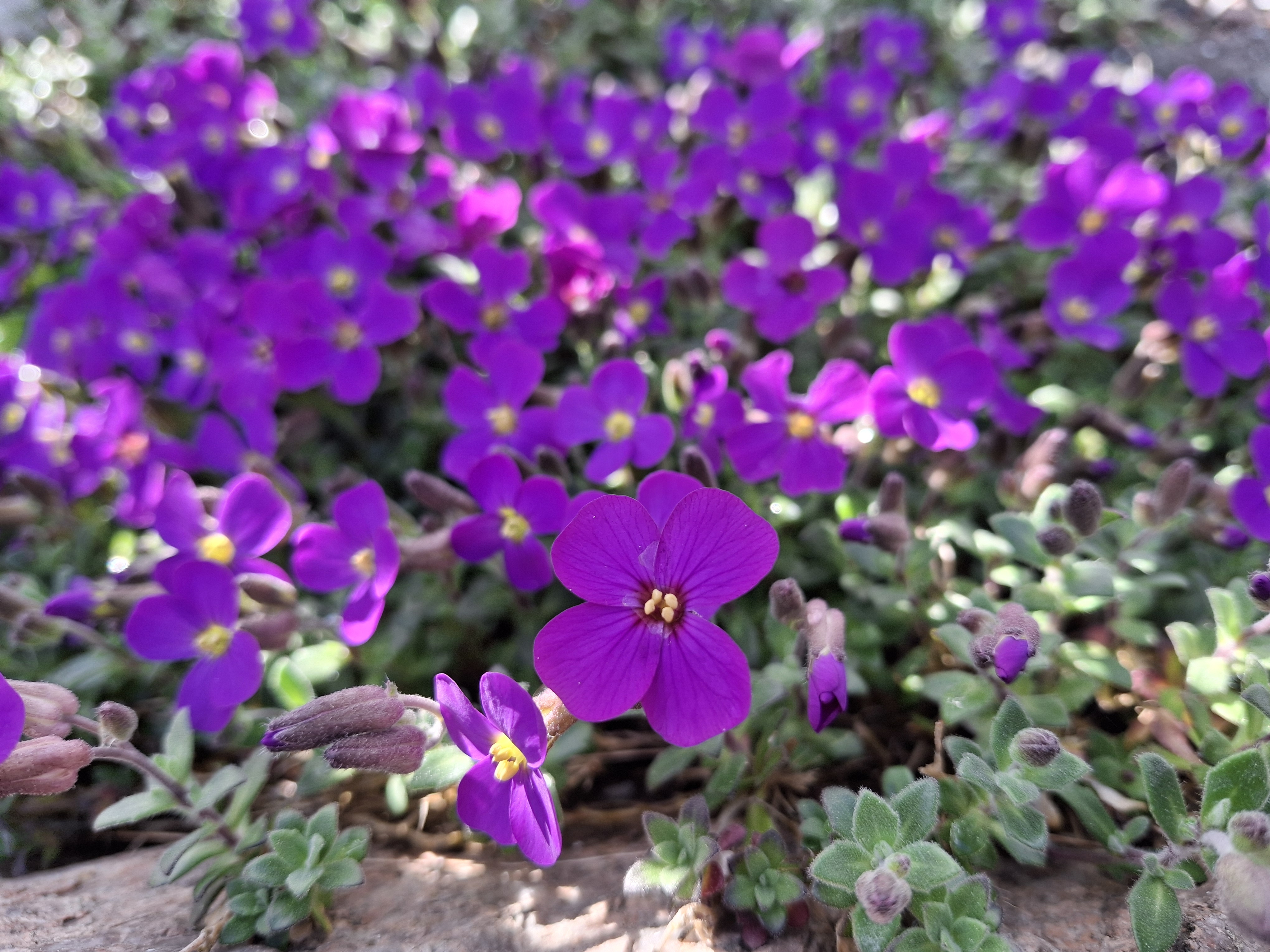 20240509_171950.jpg