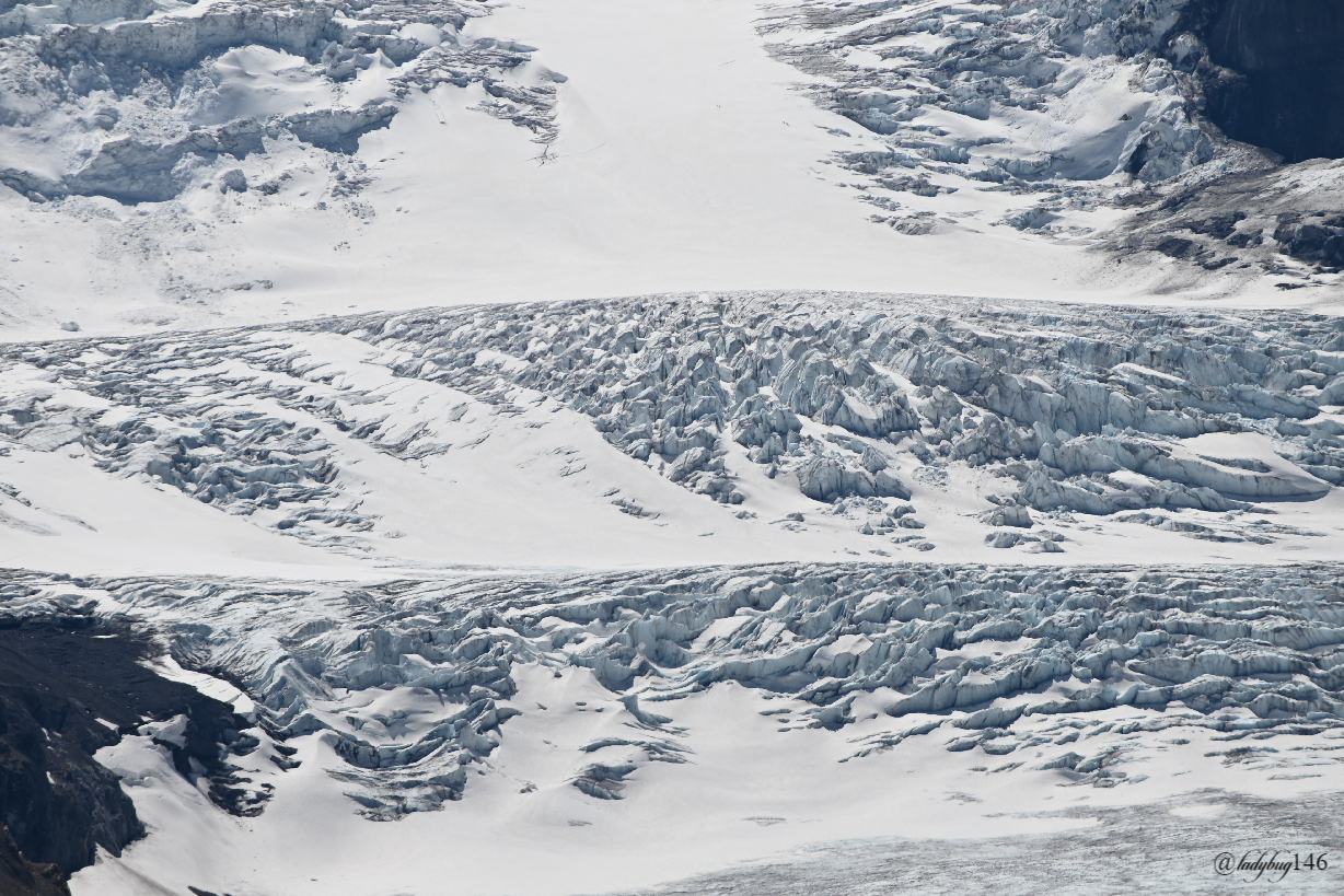 wilcox pass_athabasca glacier.jpg