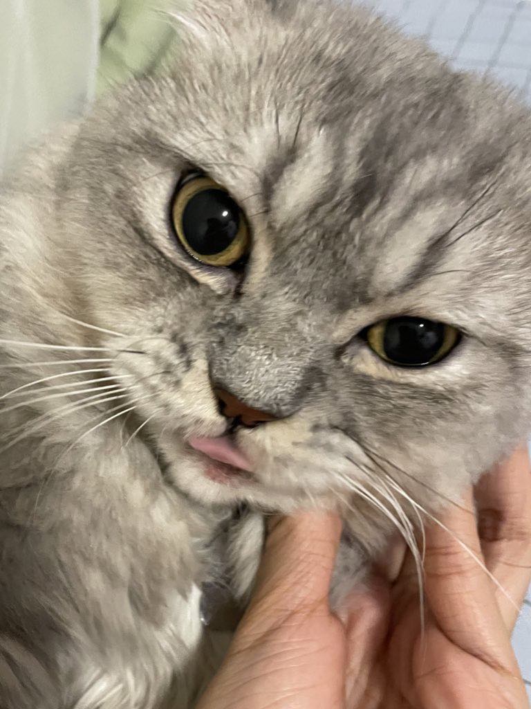 4th pic grey (1).jpeg