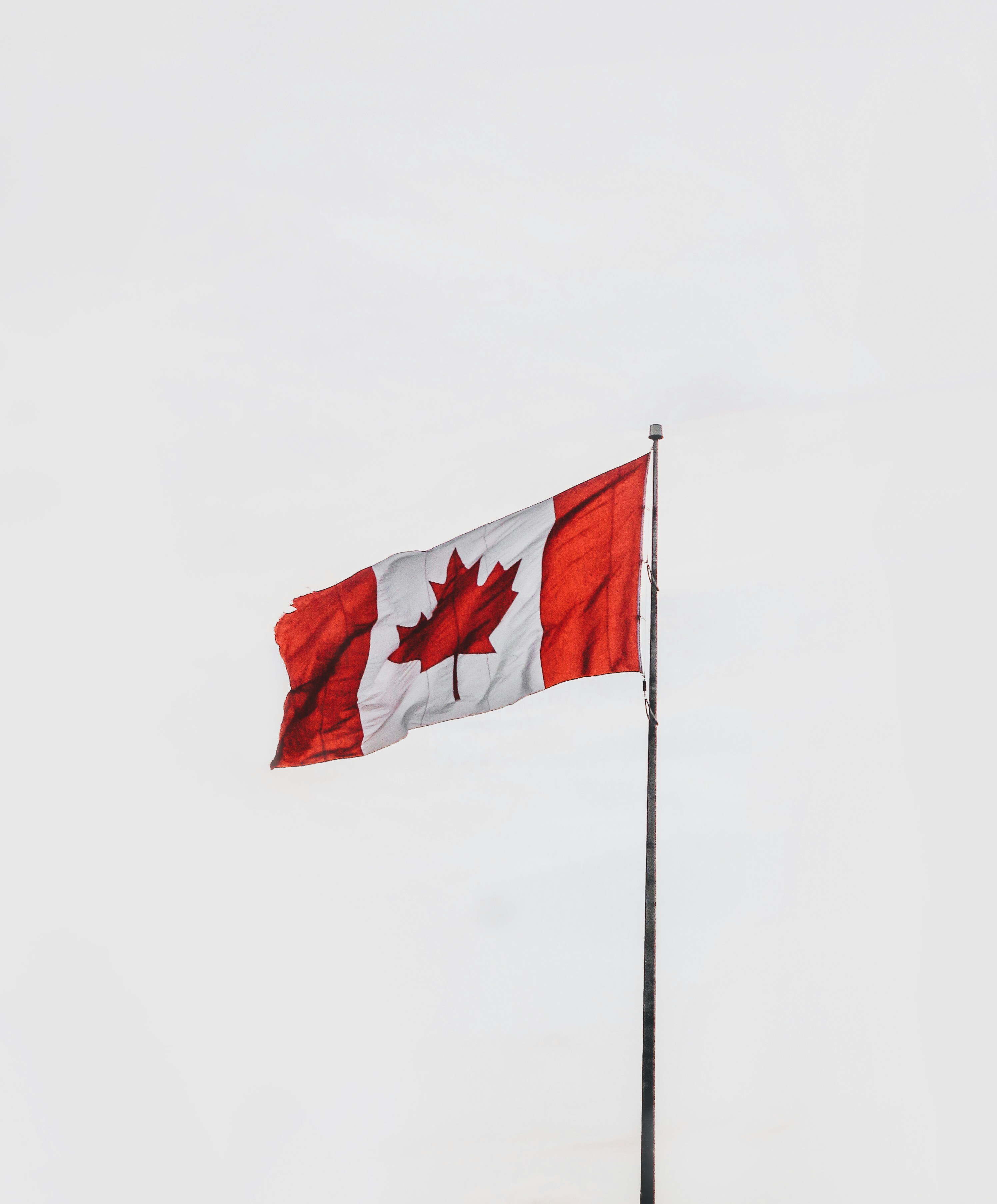 1B52987D-9FC2-4163-8681-A89BACC5A33E.jpeg