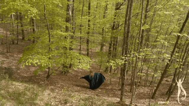 gif heart forest (4).gif