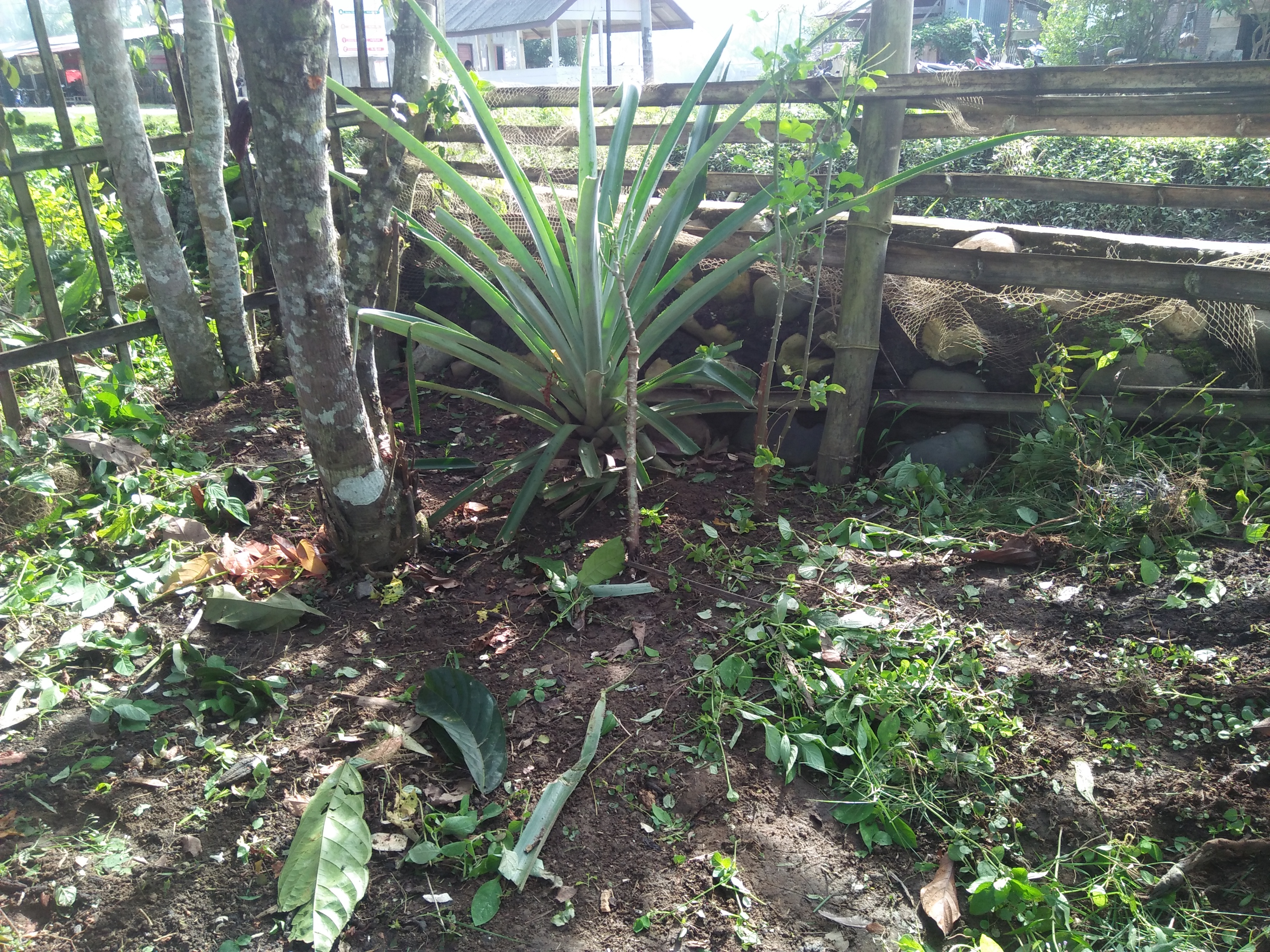 IMG20250129155530.jpg