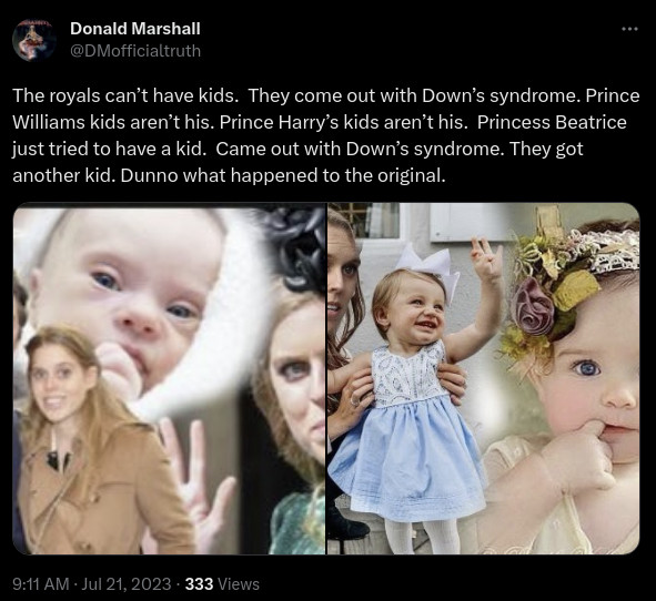 dm-twitter-the-royals-cant-have-kids.jpg