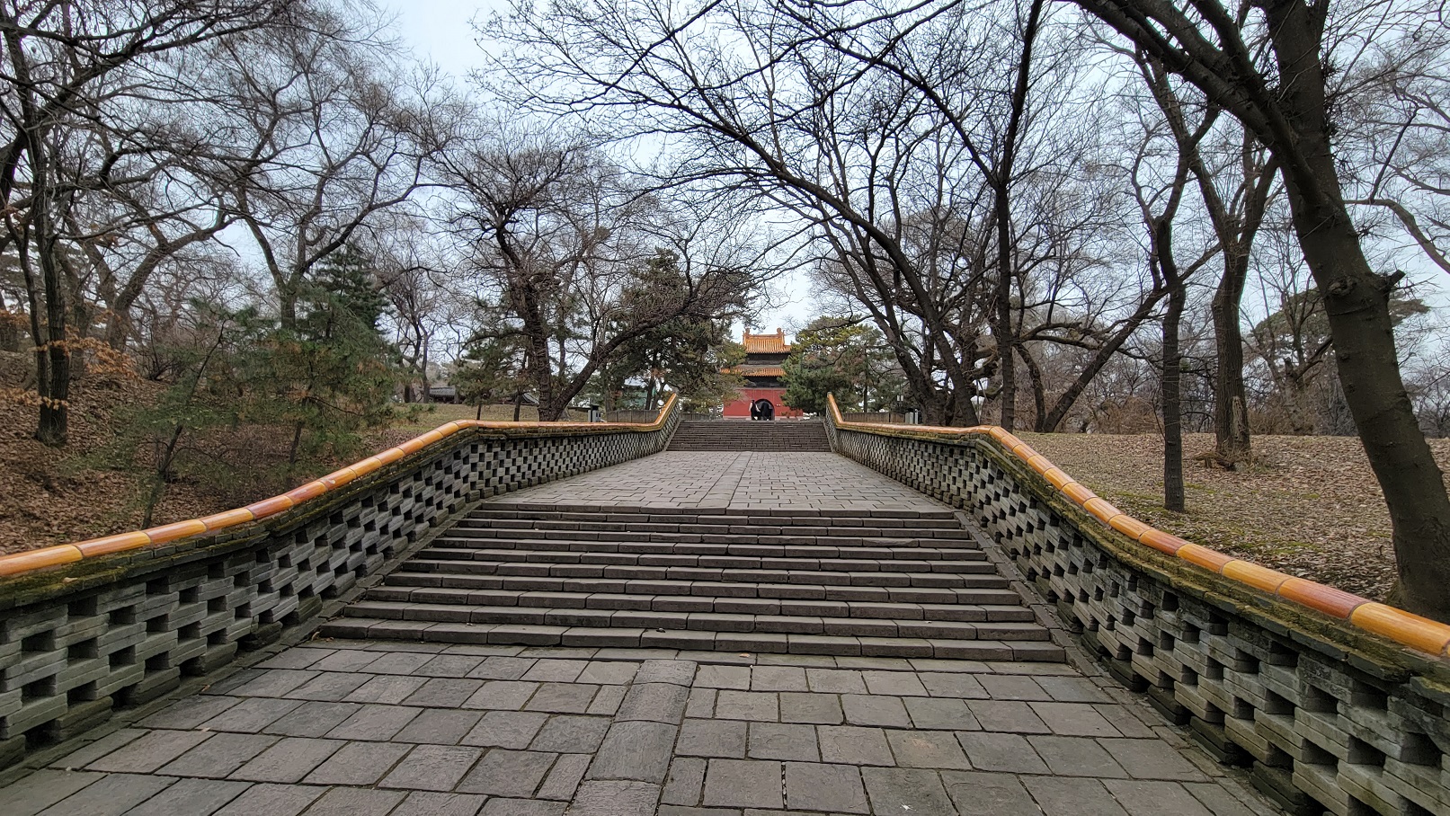 20221119_123133.jpg