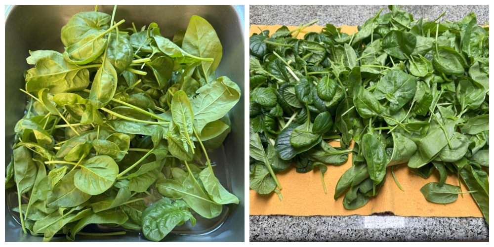 hivegarden-spinach.jpg