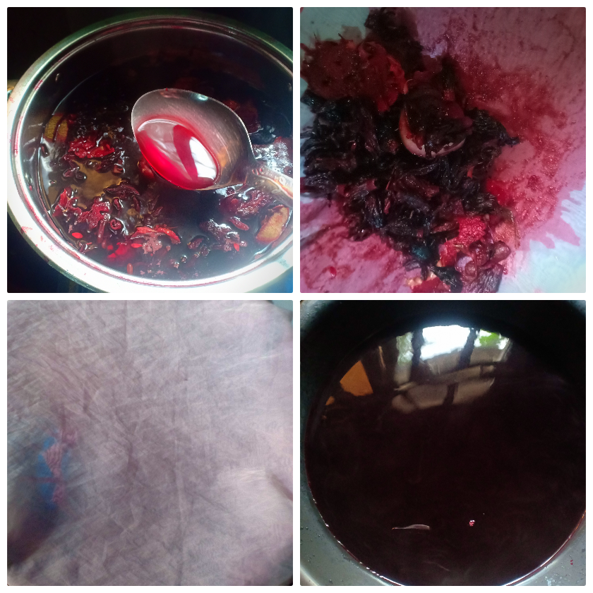 Collage 2025-06-08 16-25-05.png