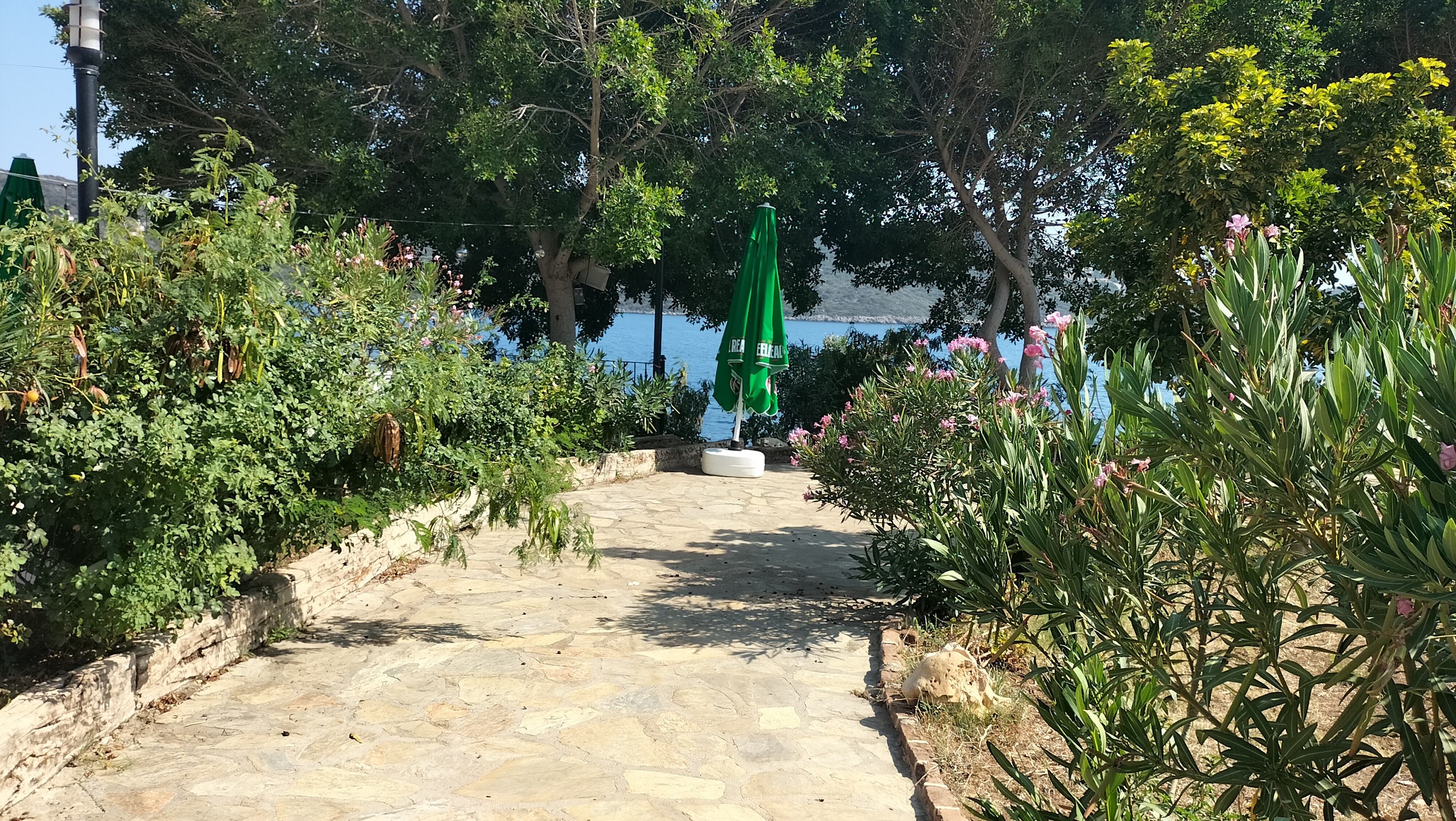 IMG20250727161707.jpg