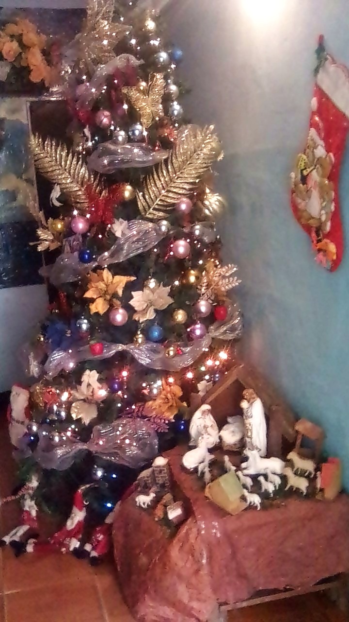 IMG_20221219_134515.jpg