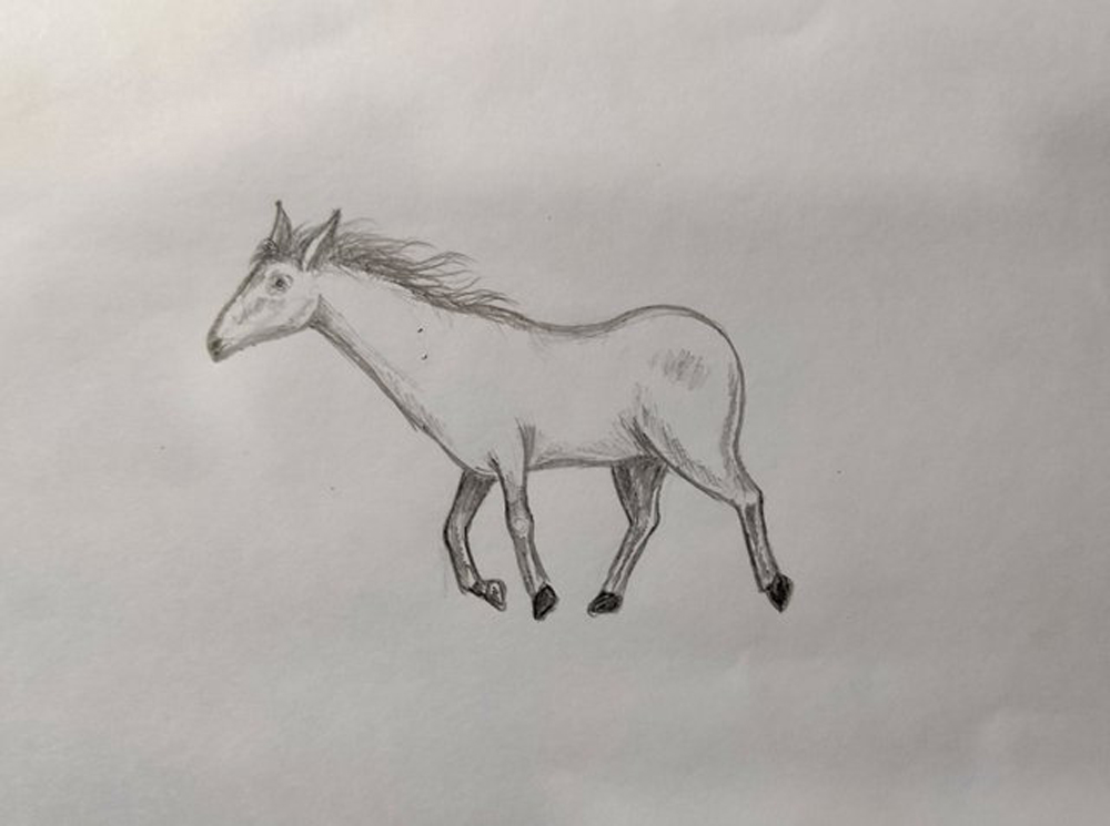 How to draw a horse step by step | Pencil Shading Drawing - YouTube