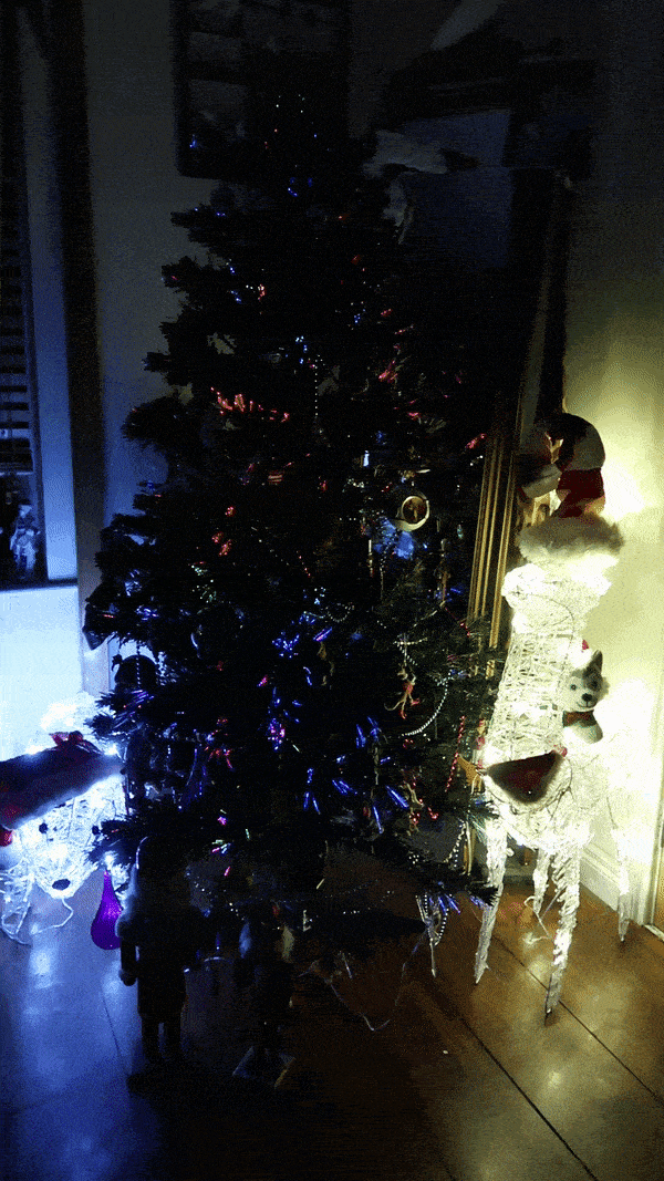 TREE_GIF.gif